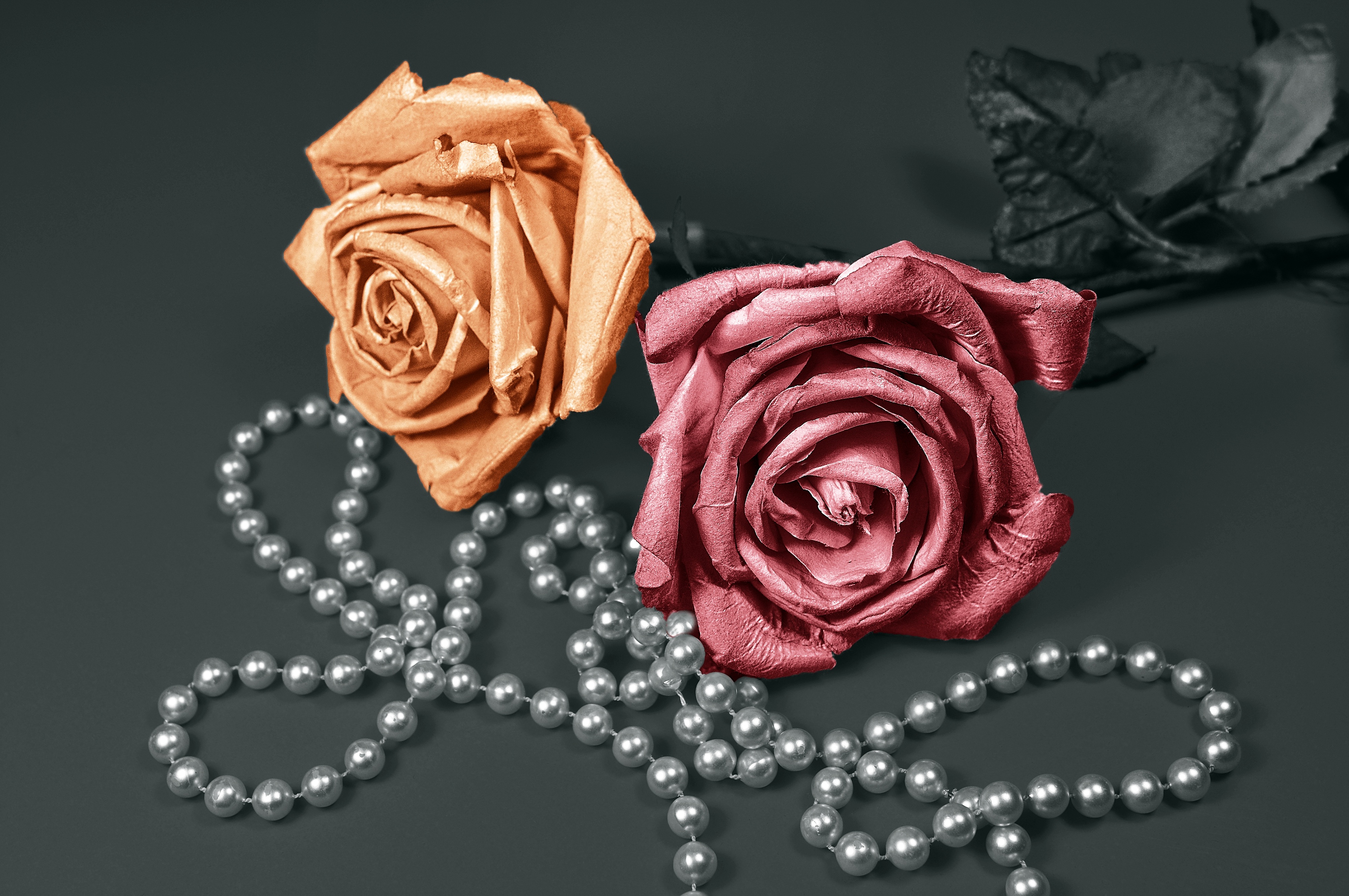 Téléchargez gratuitement l'image Chapelet, Décoration, Perles, Fleurs, Une Rose, Rose sur le bureau de votre PC