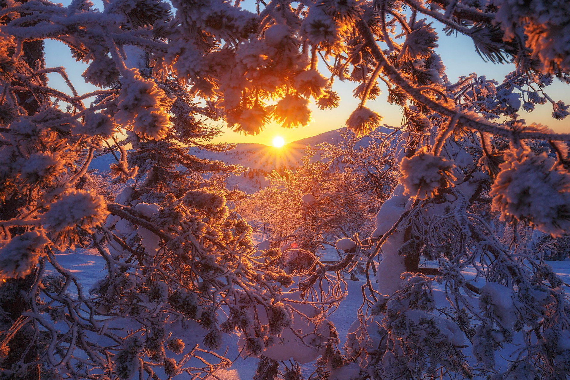 968264壁紙のダウンロード地球, 冬, ブランチ, フィンランド, 自然, 雪, 日没-スクリーンセーバーと写真を無料で