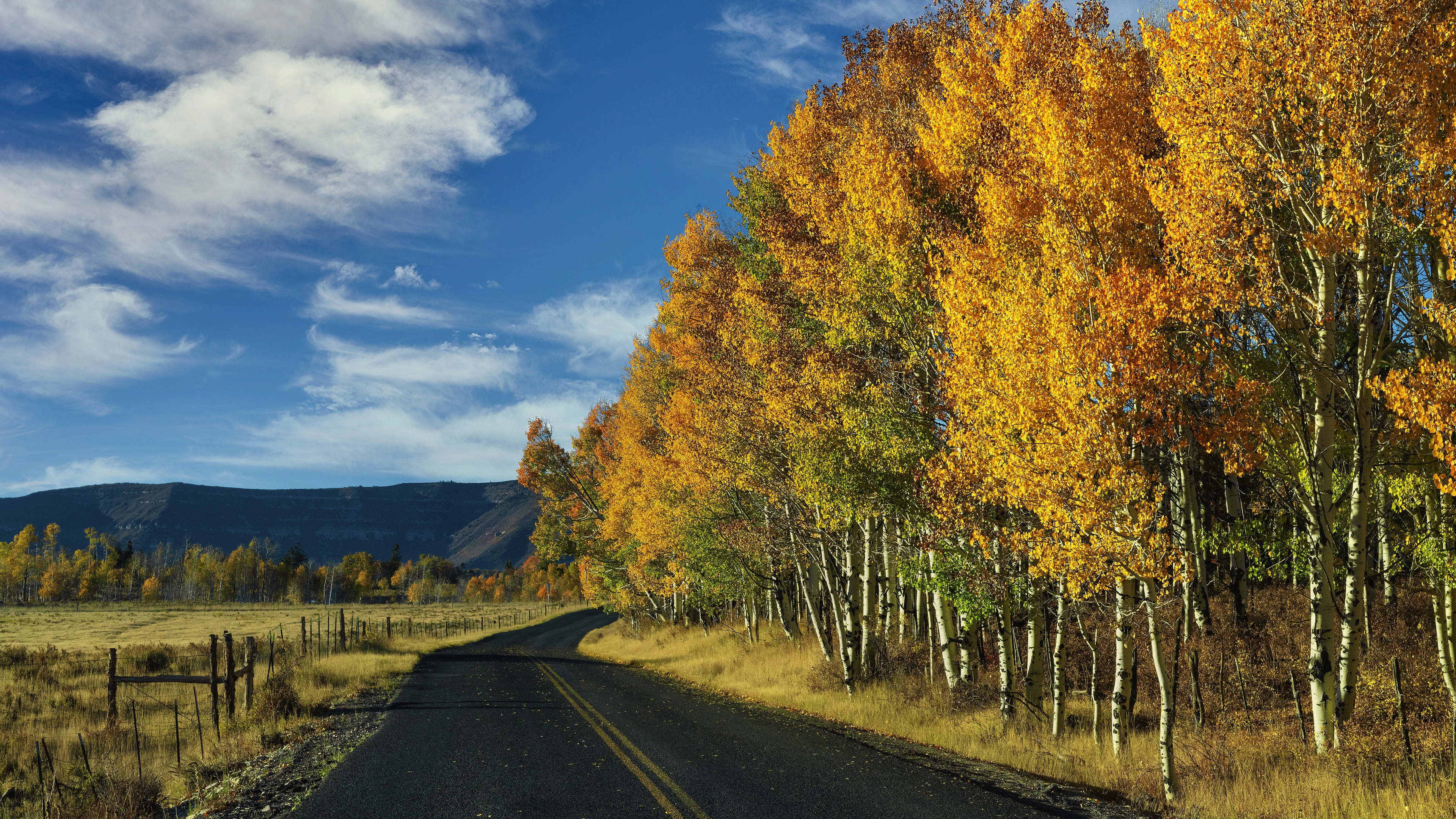 Laden Sie das Herbst, Straße, Baum, Zaun, Wolke, Himmel, Menschengemacht-Bild kostenlos auf Ihren PC-Desktop herunter