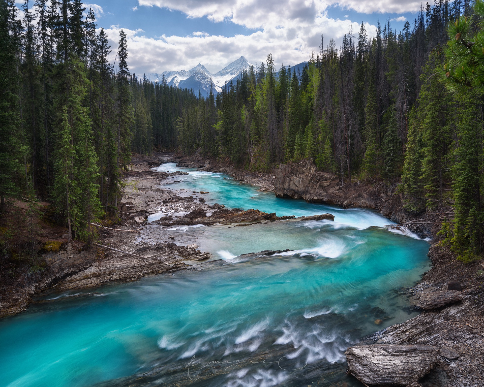 Laden Sie das Natur, Wald, Baum, Fluss, Erde/natur-Bild kostenlos auf Ihren PC-Desktop herunter