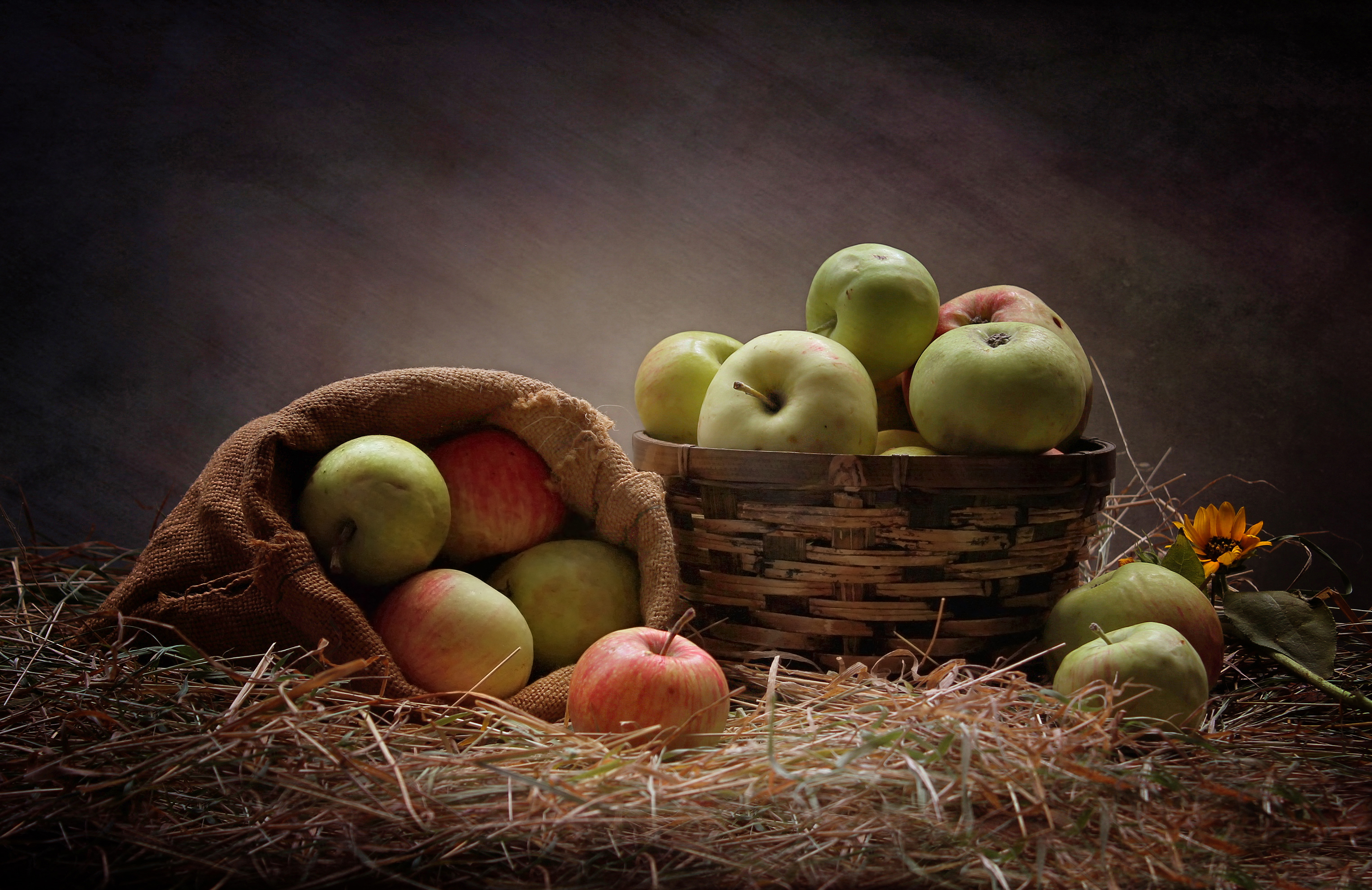 Free download wallpaper Fruits, Food, Apple, Still Life, Fruit on your PC desktop