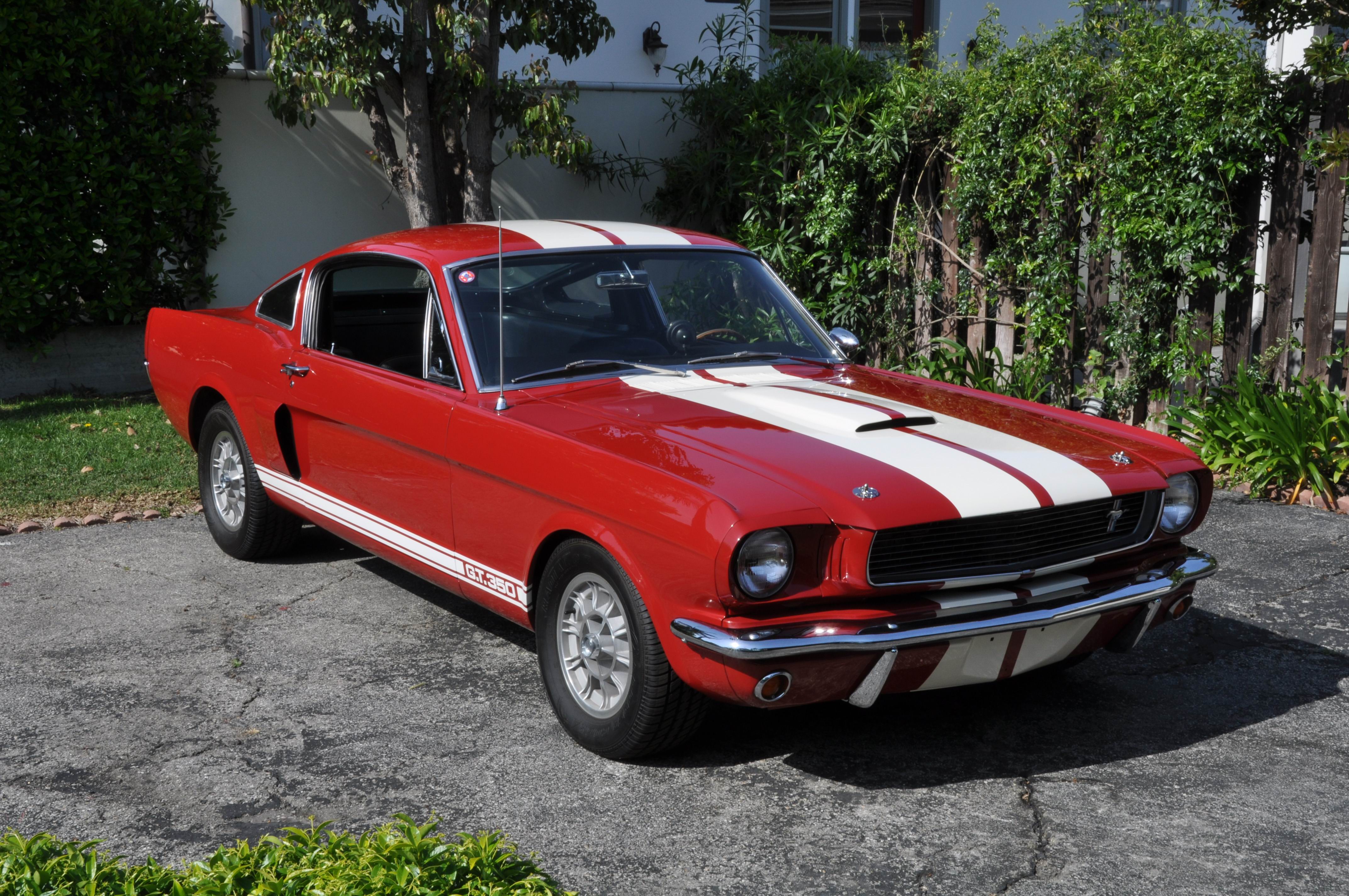vehicles, shelby gt350, car, fastback, ford shelby gt350, muscle car, ford