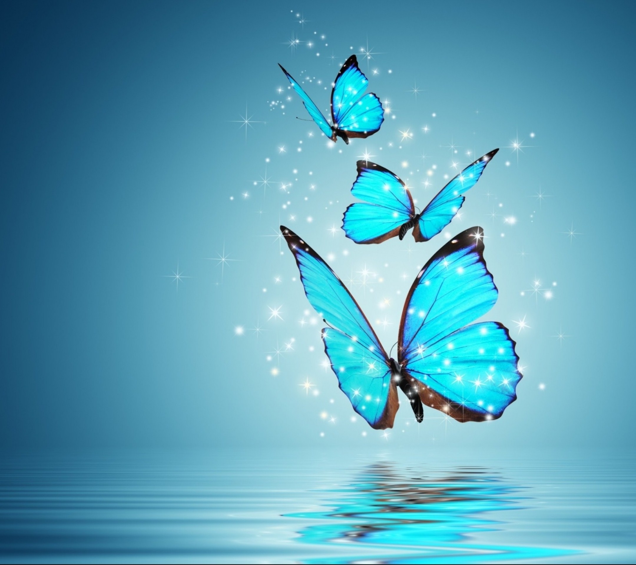 Free download wallpaper Abstract, Butterfly on your PC desktop