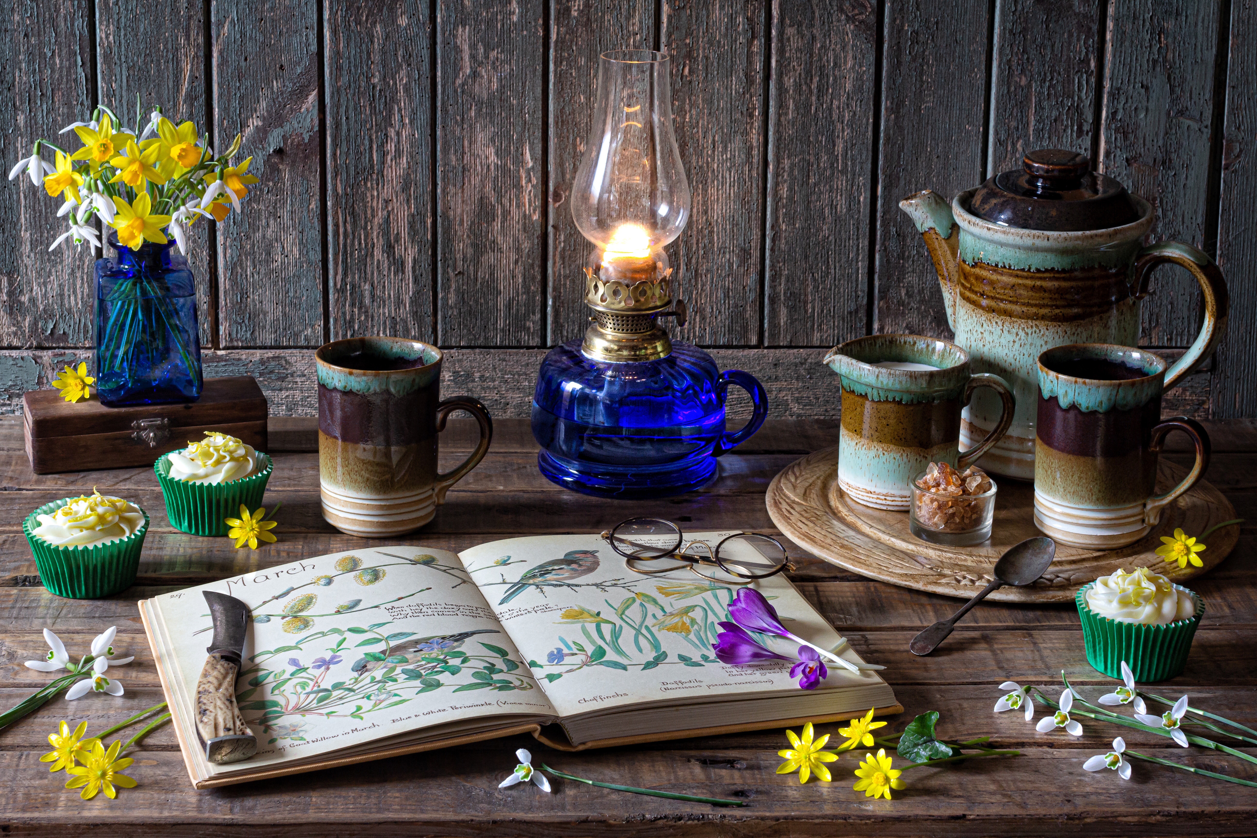 Free download wallpaper Still Life, Flower, Book, Photography, Daffodil on your PC desktop