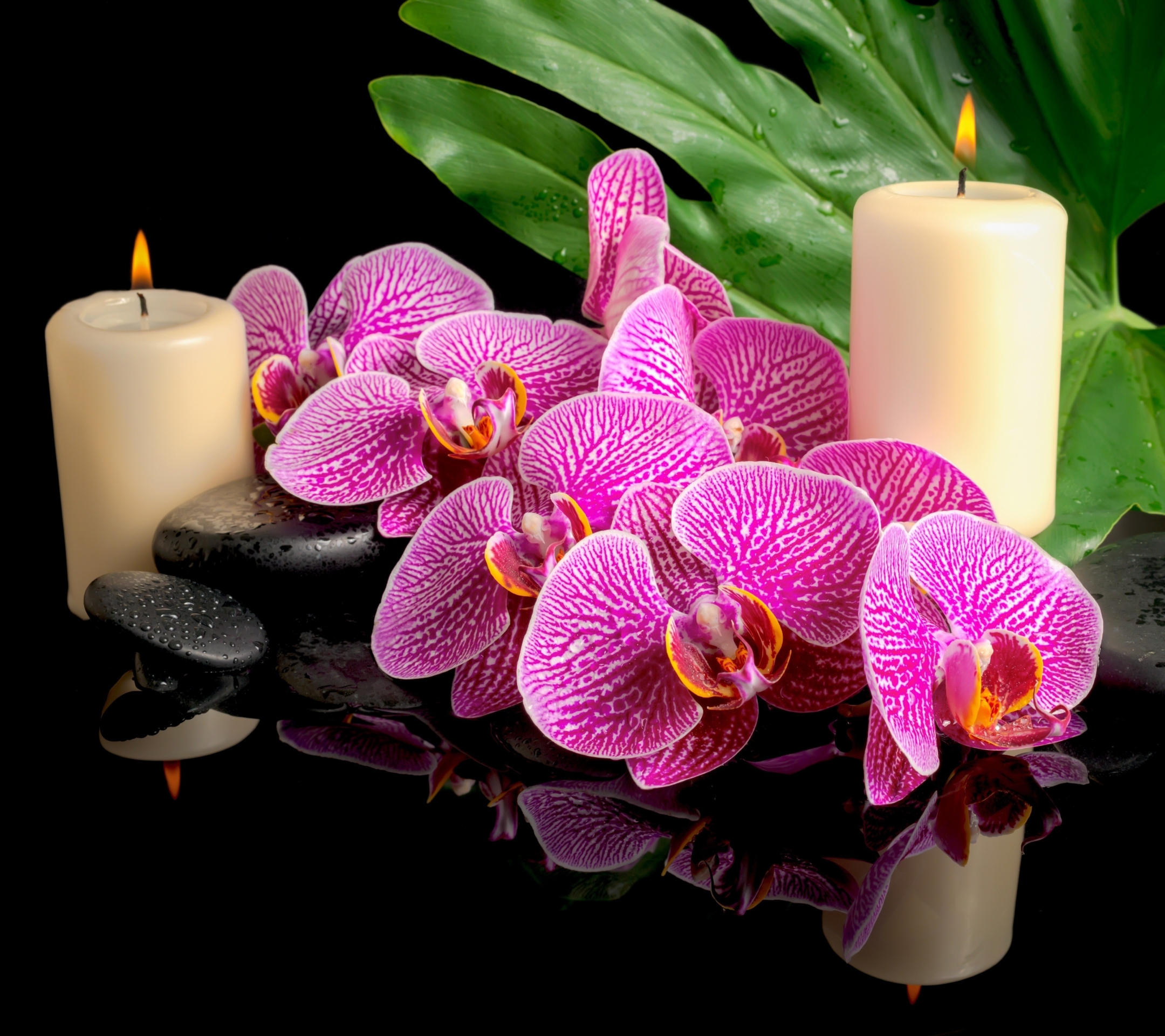 Download mobile wallpaper Light, Leaf, Candle, Orchid, Zen, Religious for free.