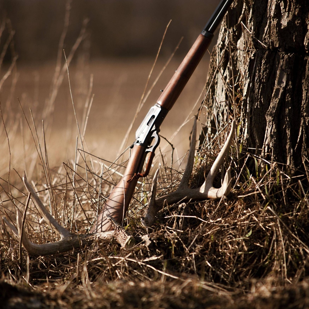 Handy-Wallpaper Waffen, Gewehr kostenlos herunterladen.