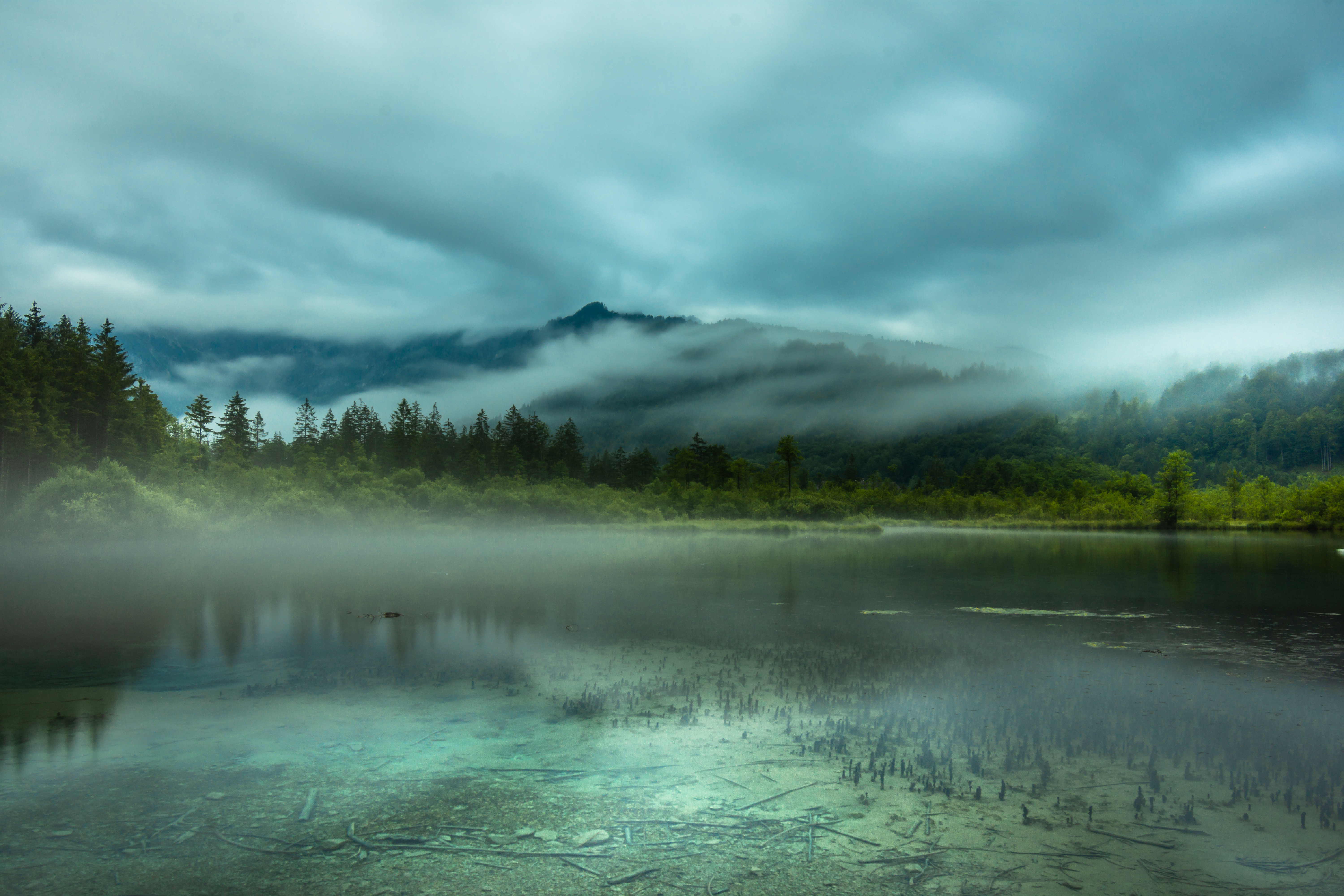 Скачать картинку Туман, Ель, Деревья, Горы, Озеро, Природа в телефон бесплатно.