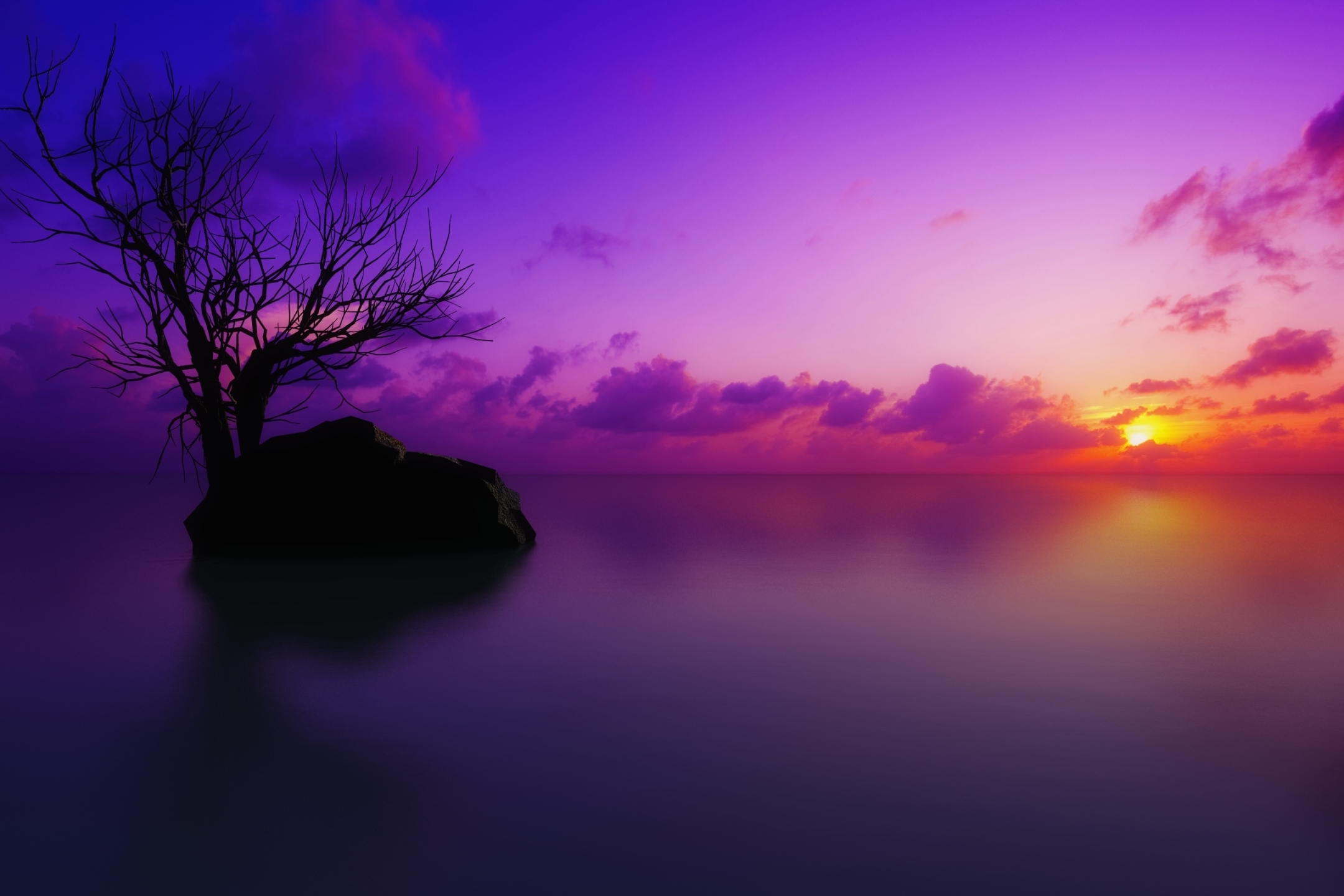 Download mobile wallpaper Sunset, Tree, Ocean, Earth, Purple, Cloud, Pastel, Scenic for free.