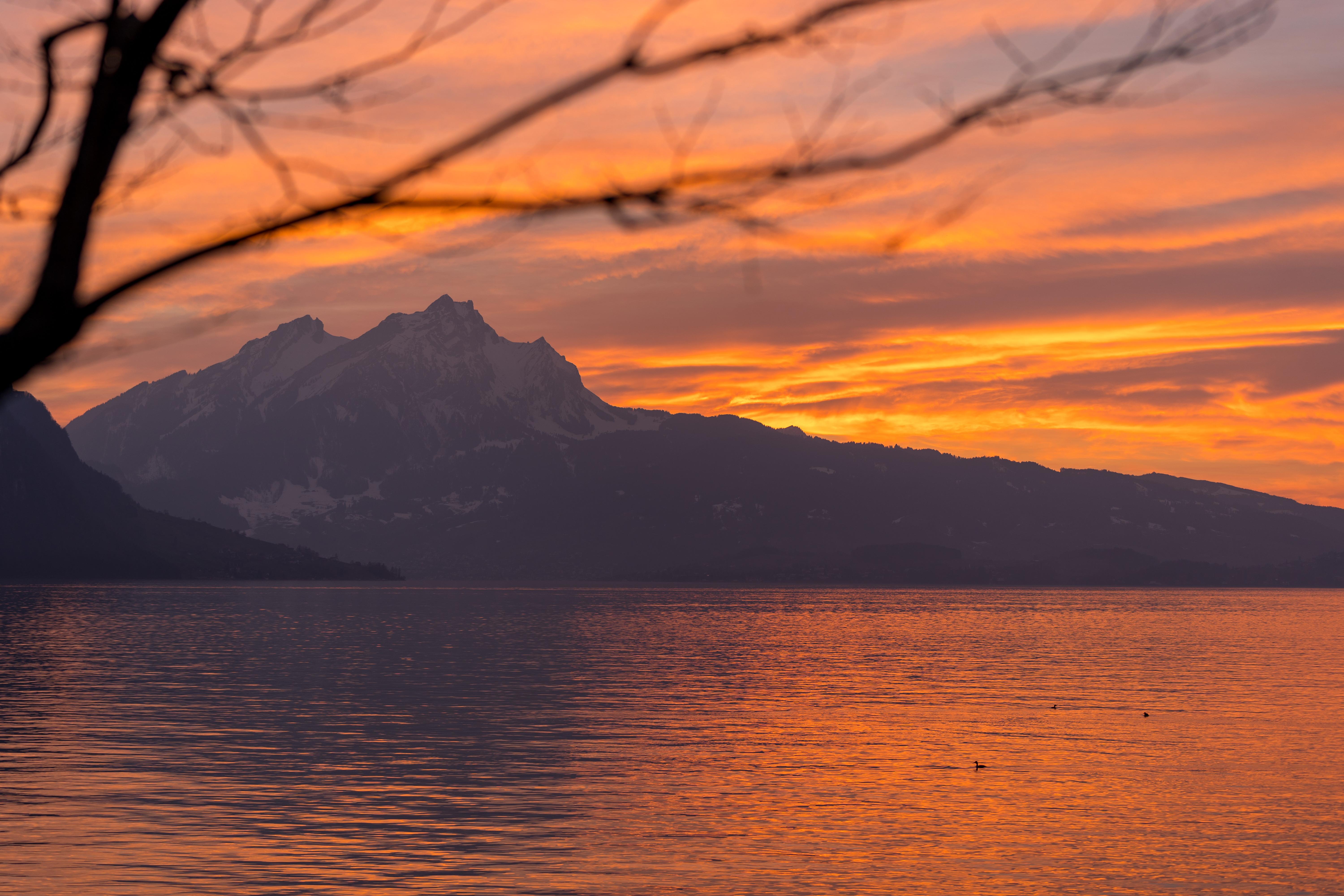 Handy-Wallpaper Mountains, Geäst, Zweige, Natur, Wasser, Sunset kostenlos herunterladen.