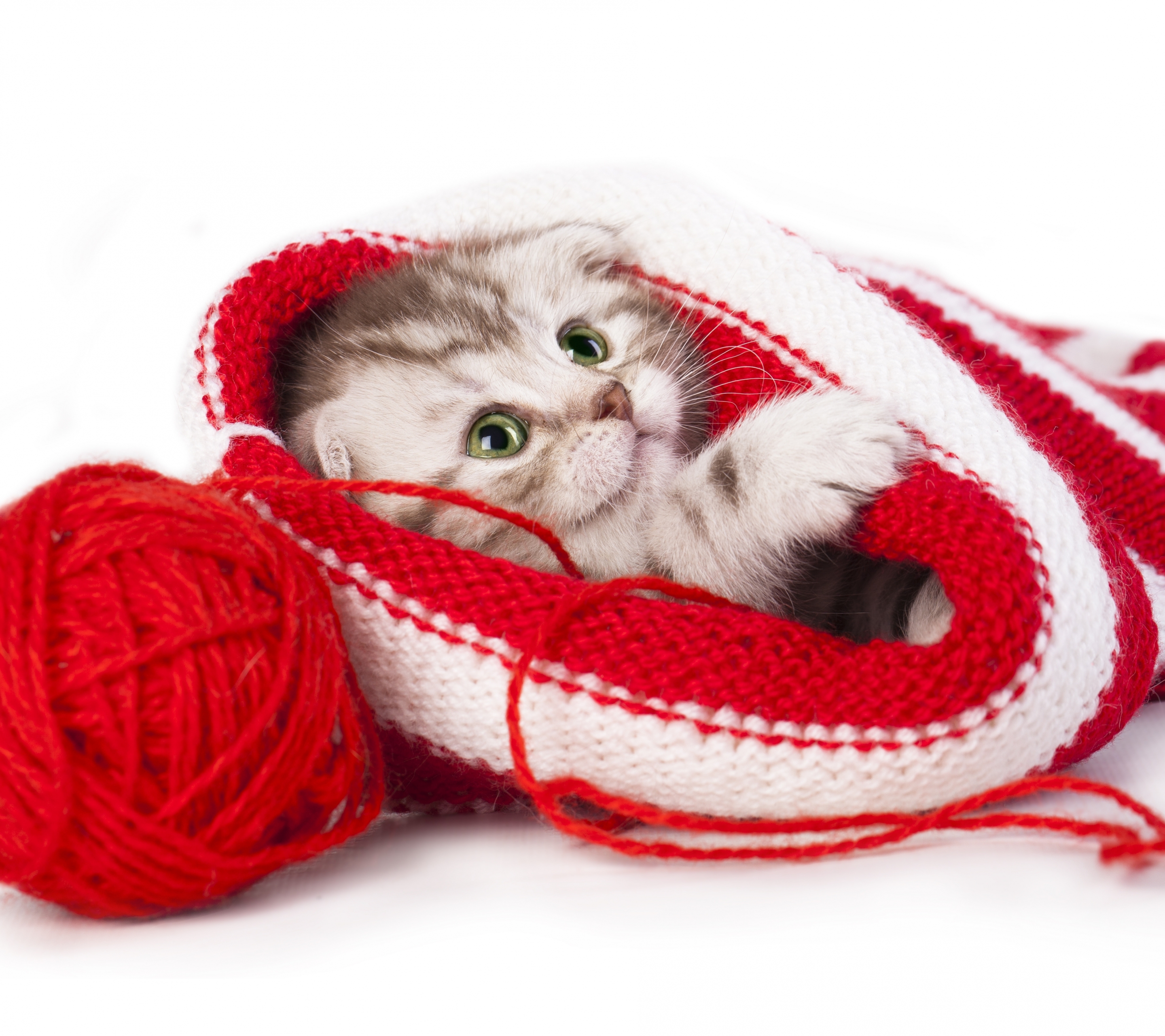 Free download wallpaper Cats, Cat, Kitten, Ball, Animal, Hat on your PC desktop