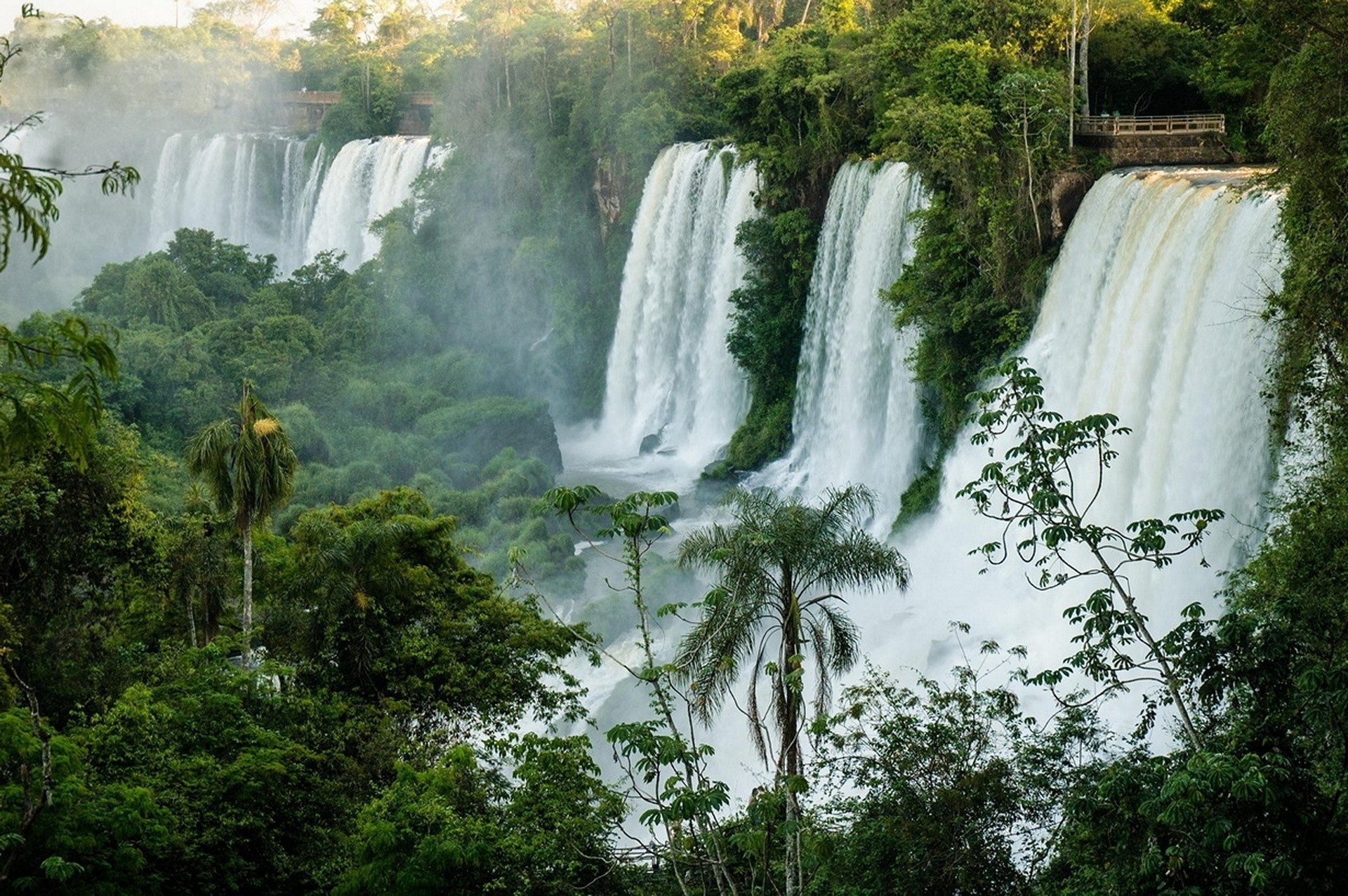 Download mobile wallpaper Nature, Water, Waterfalls, Waterfall, Forest, Vegetation, Earth, Iguazu Falls for free.