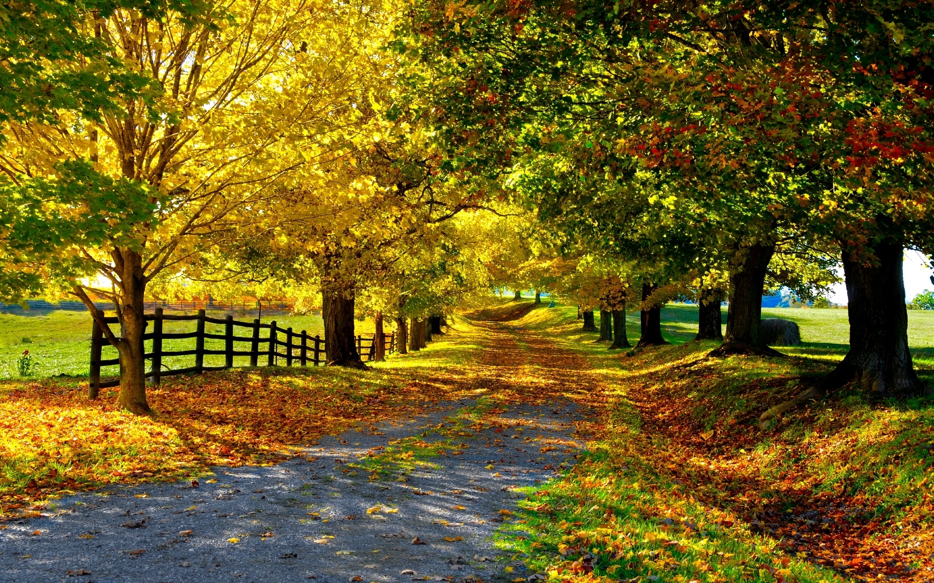 Laden Sie das Fotografie, Herbst-Bild kostenlos auf Ihren PC-Desktop herunter