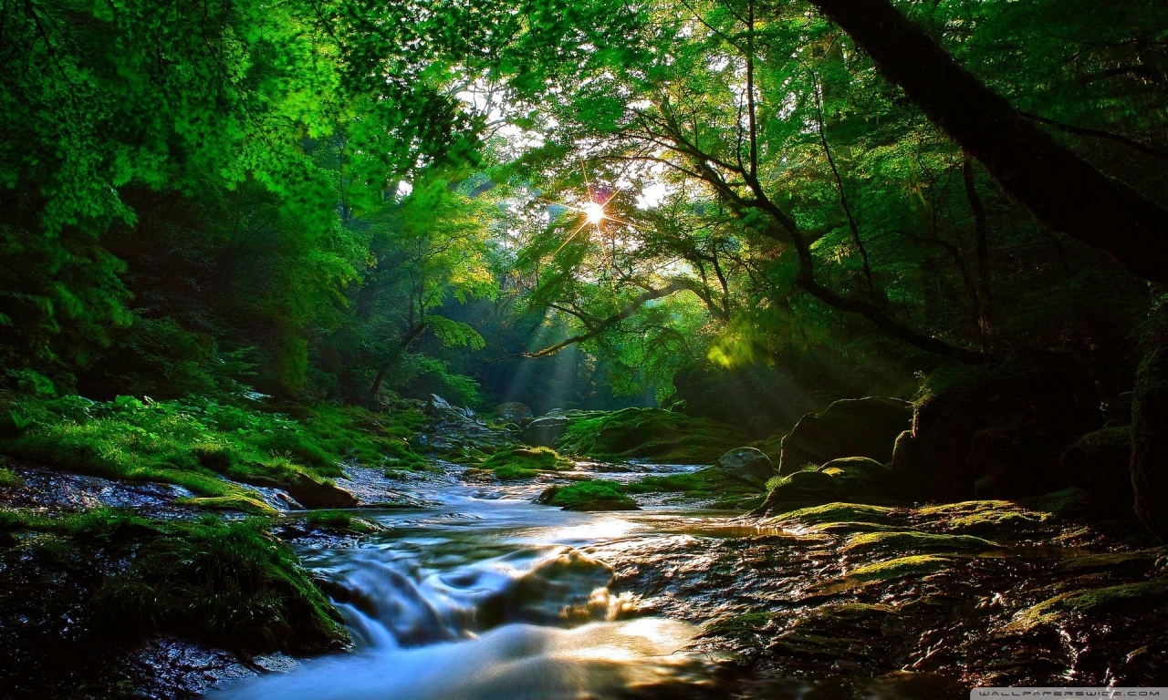 Descarga gratuita de fondo de pantalla para móvil de Chorro, Tierra/naturaleza.