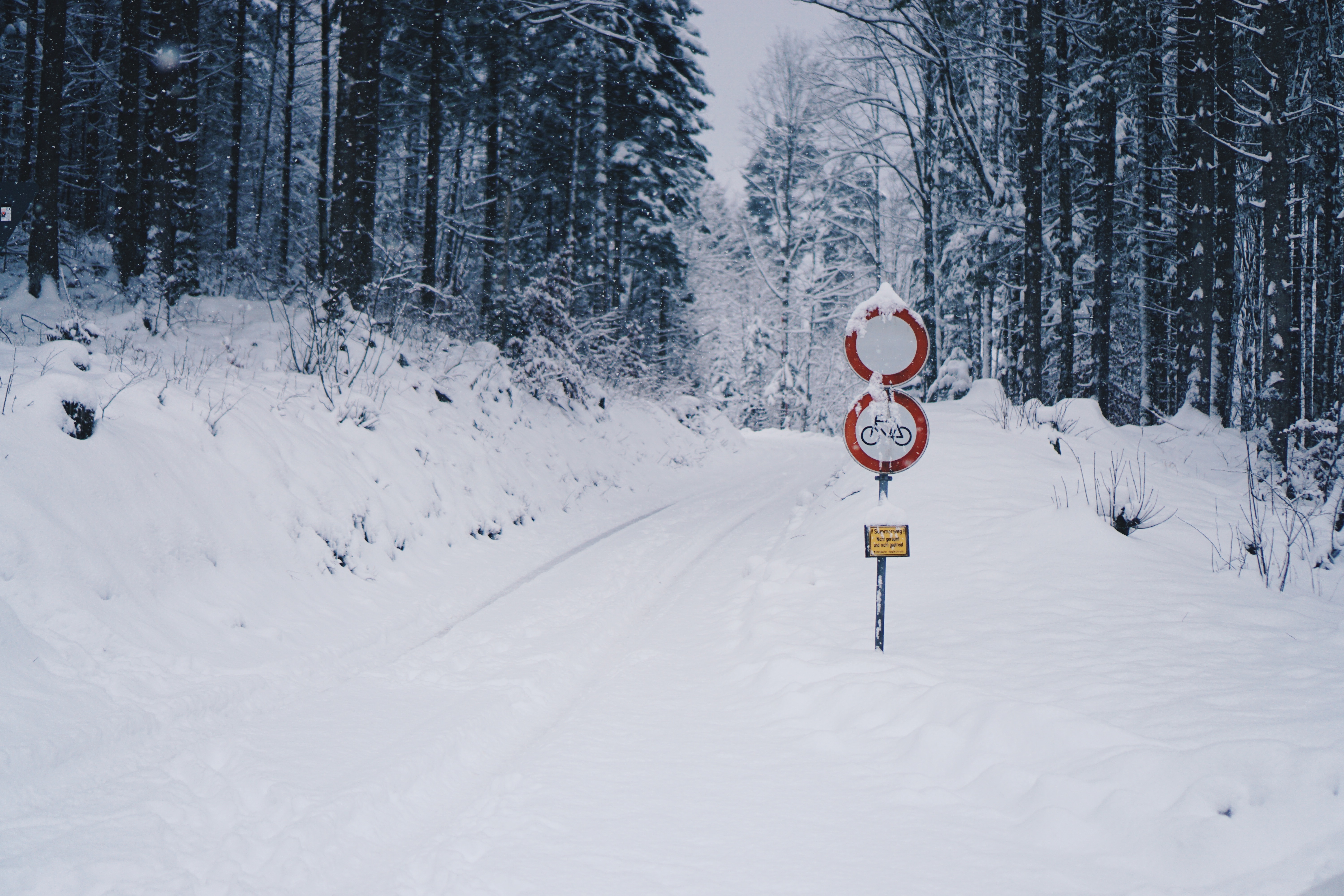 winter, snow, miscellanea, miscellaneous, road, forest, pointer