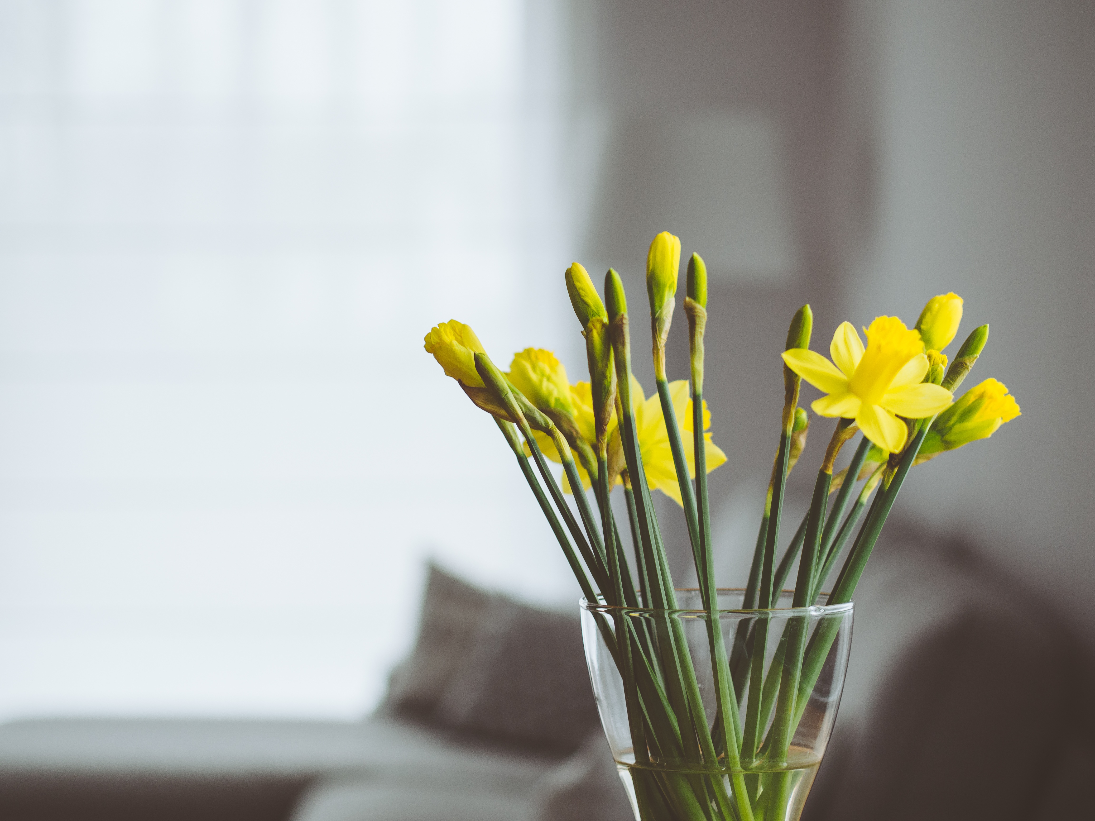 Téléchargez gratuitement l'image Fleurs, Bouquet, Vase sur le bureau de votre PC