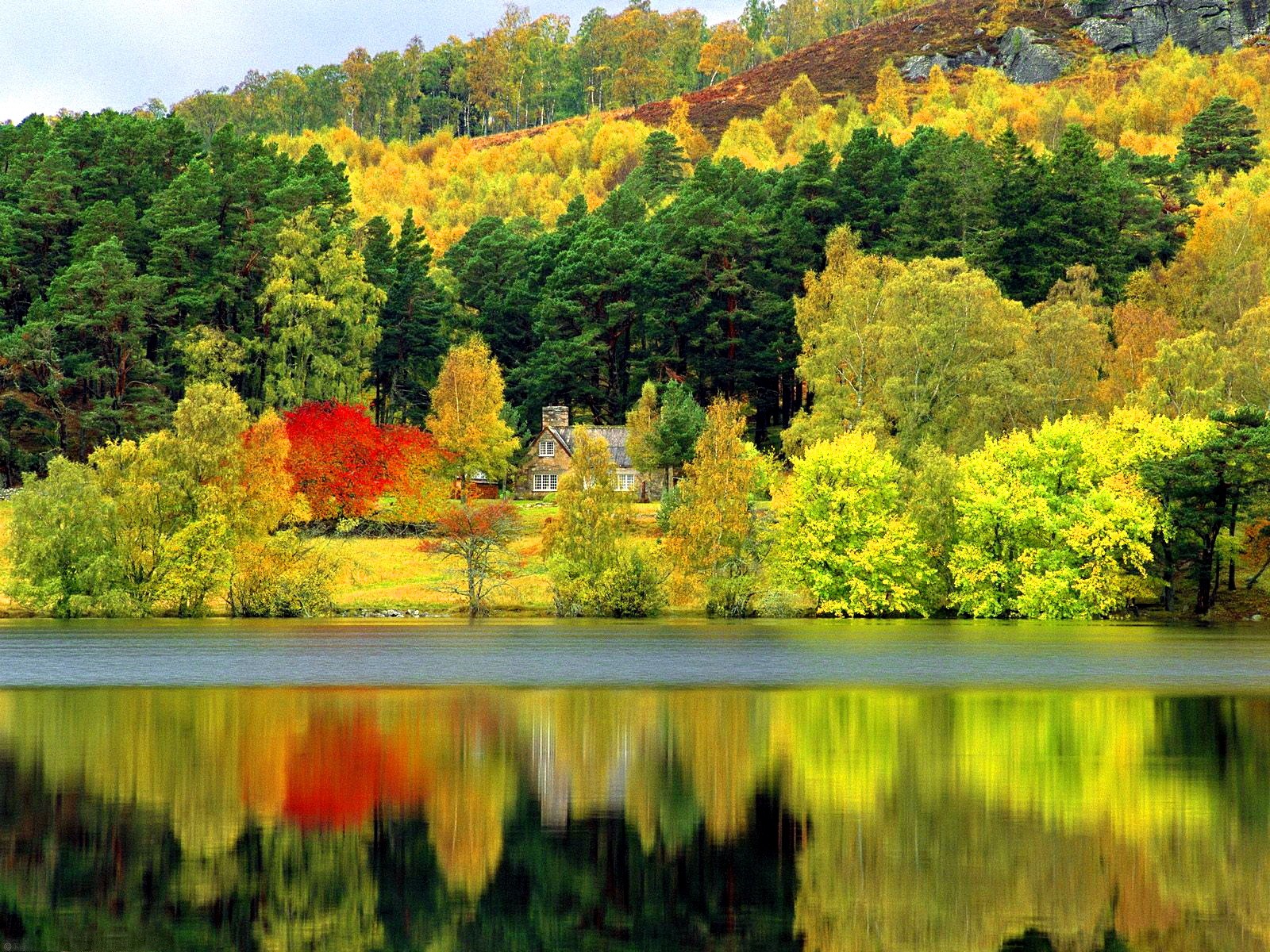 Free download wallpaper Lake, Reflection, Tree, Fall, House, Man Made on your PC desktop