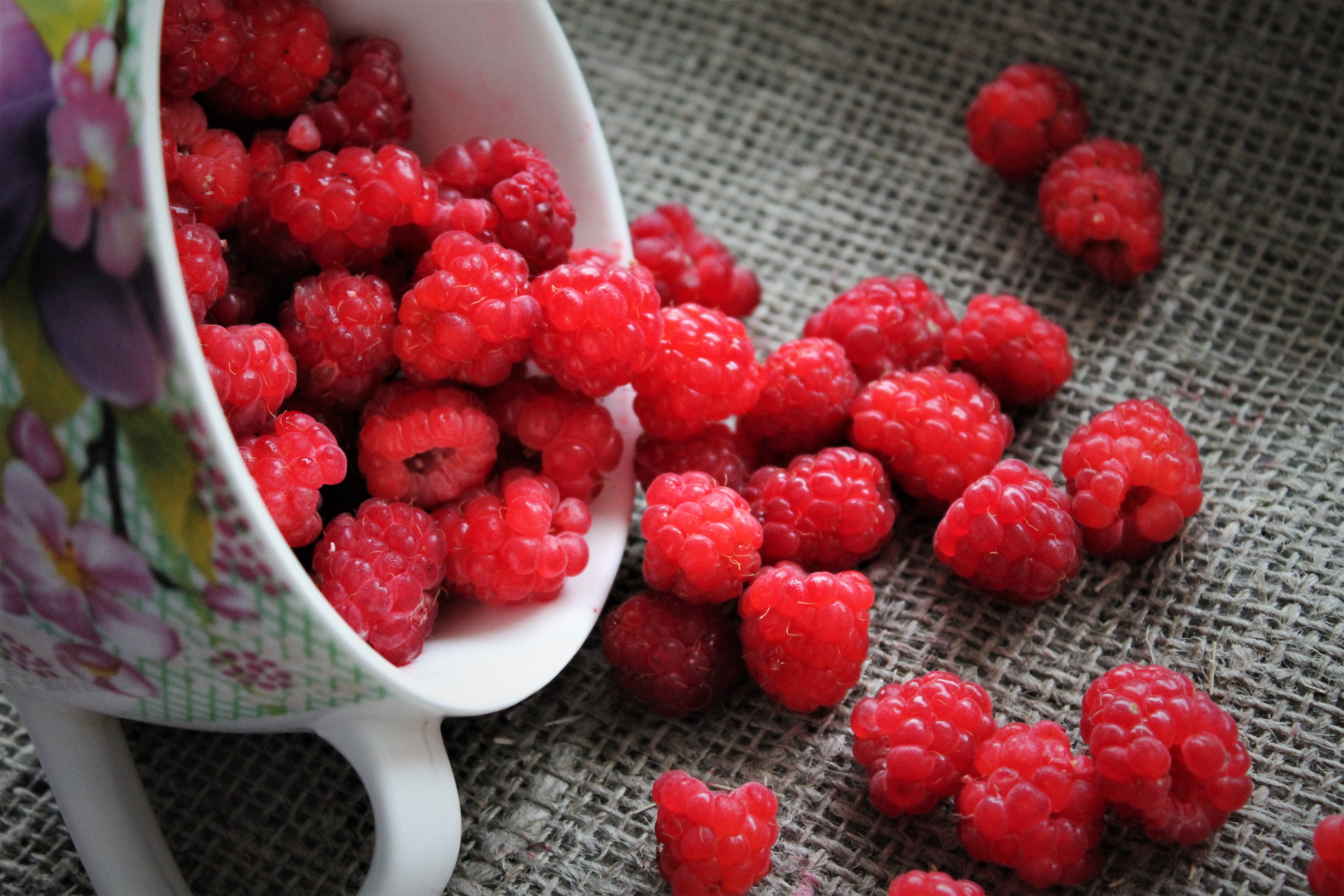 Download mobile wallpaper Fruits, Food, Raspberry, Cup, Berry, Fruit for free.
