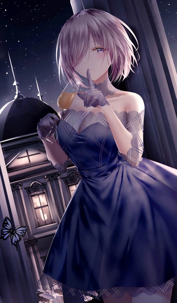 Handy-Wallpaper Kleid, Nacht, Animes, Schicksal (Serie), Fate/grand Order, Mashu Kyrielight, Schicksalsserie kostenlos herunterladen.