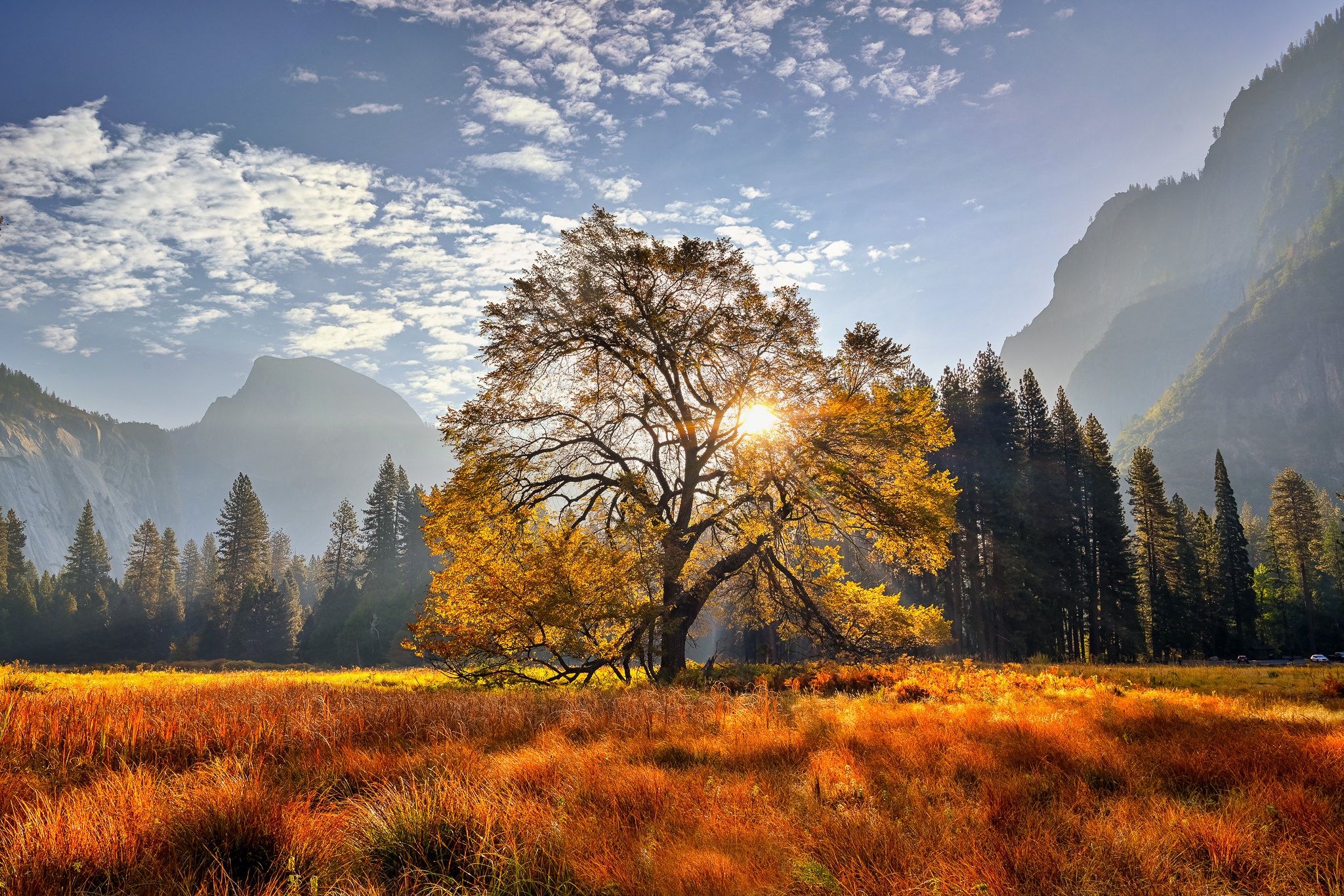 PCデスクトップに木, 秋, 山, 地球, 国立公園, カリフォルニア, 牧草地, ヨセミテ国立公園画像を無料でダウンロード