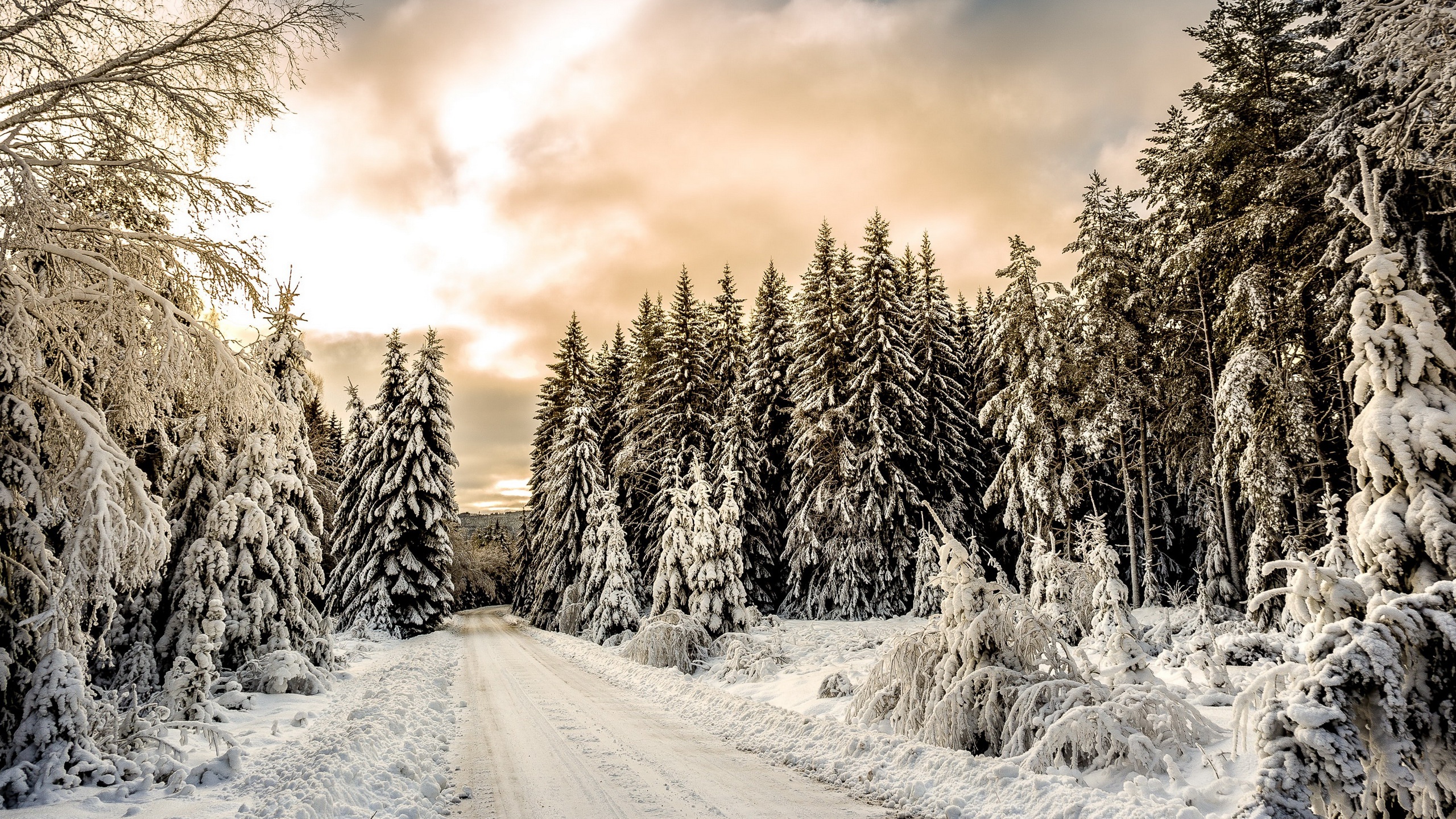 Descarga gratis la imagen Invierno, Camino, Tierra/naturaleza en el escritorio de tu PC