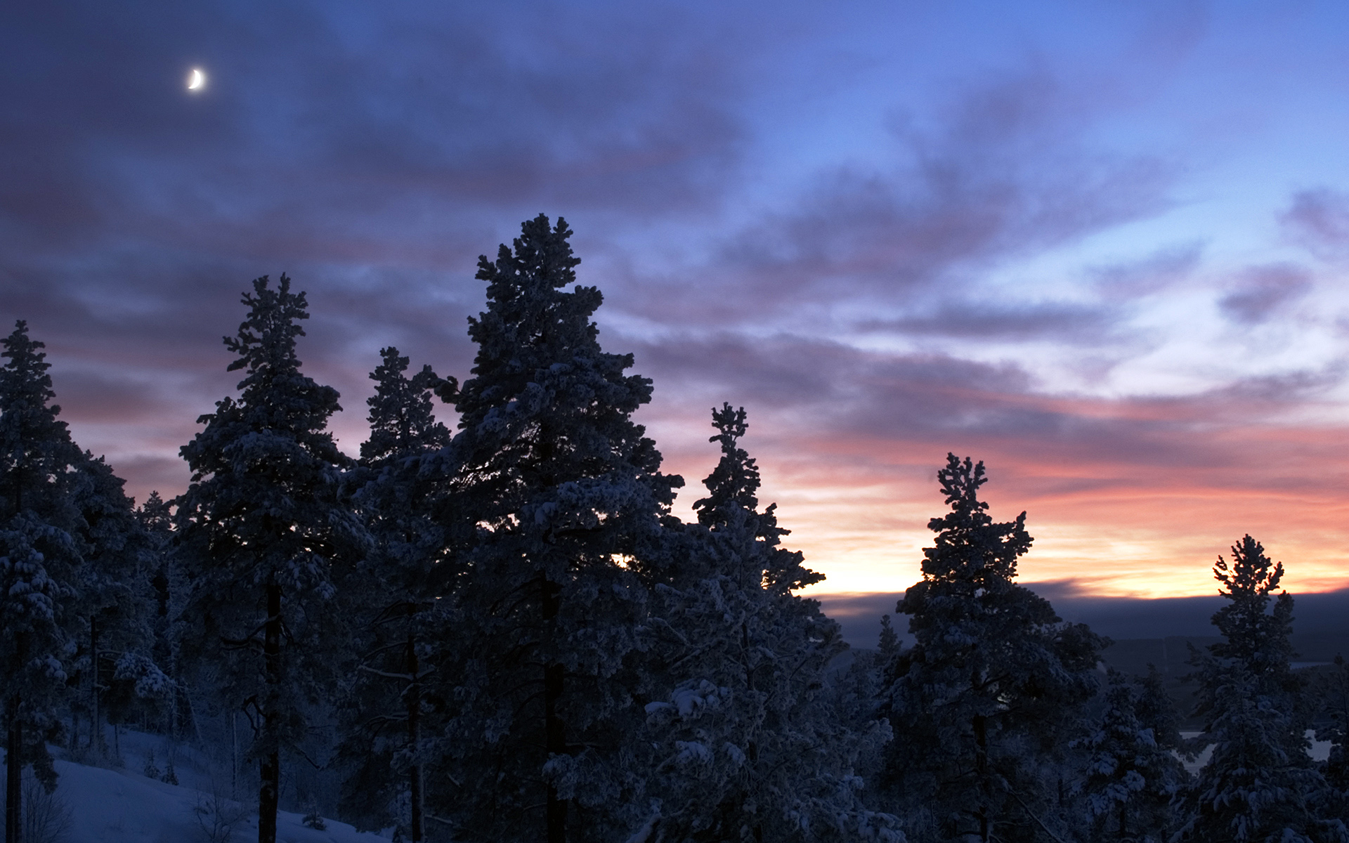 871036 descargar fondo de pantalla atardecer, tierra/naturaleza, invierno, oscuridad, bosque, cielo, nieve, árbol: protectores de pantalla e imágenes gratis