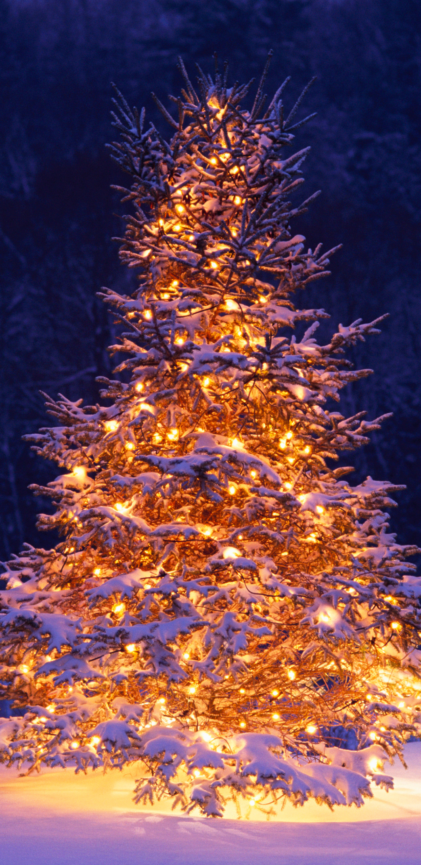 Download mobile wallpaper Winter, Snow, Chair, Tree, Christmas, Holiday, Christmas Tree, Ligths for free.