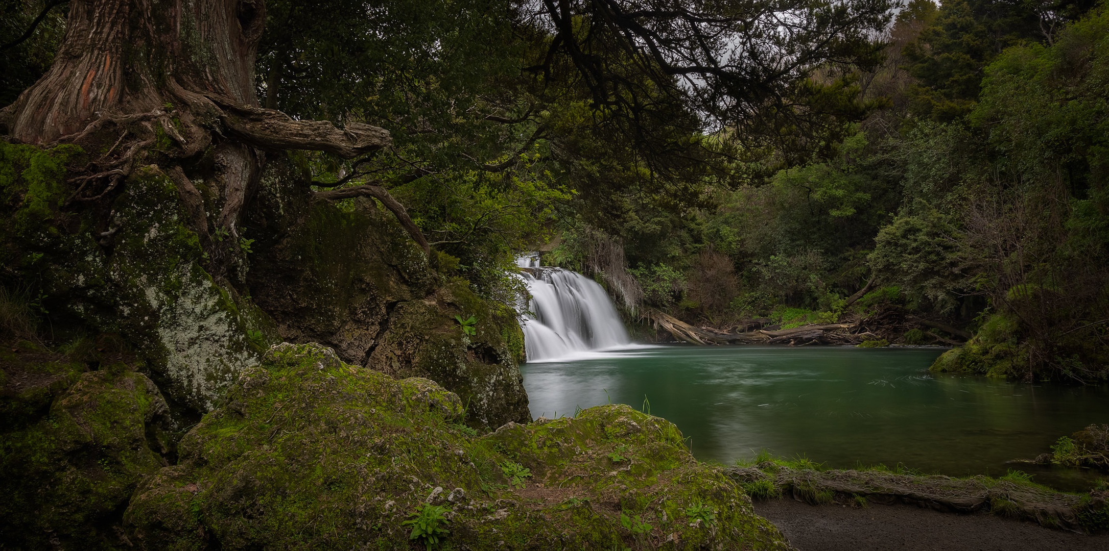PCデスクトップに川, 滝, ニュージーランド, 森, 地球, マラエトタラの滝画像を無料でダウンロード
