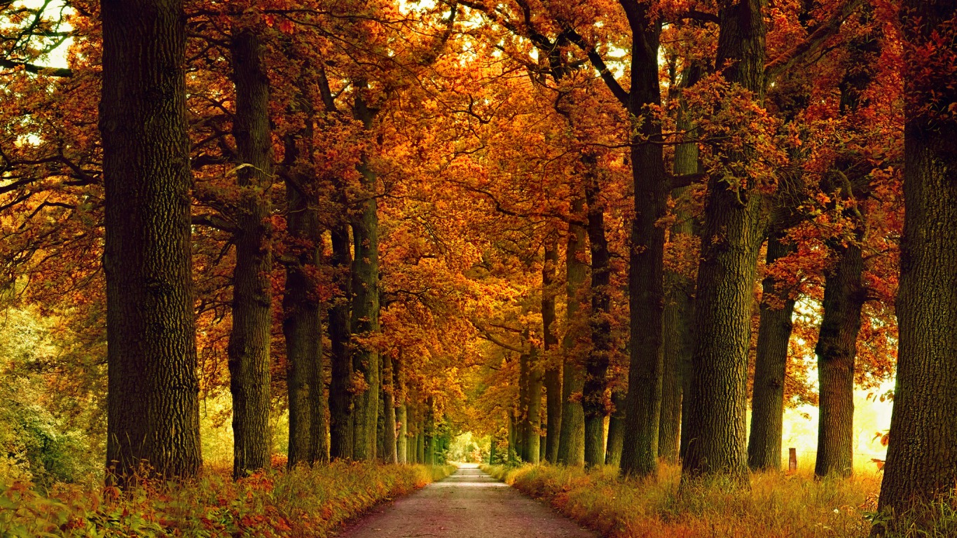 Free download wallpaper Fall, Earth, Path on your PC desktop