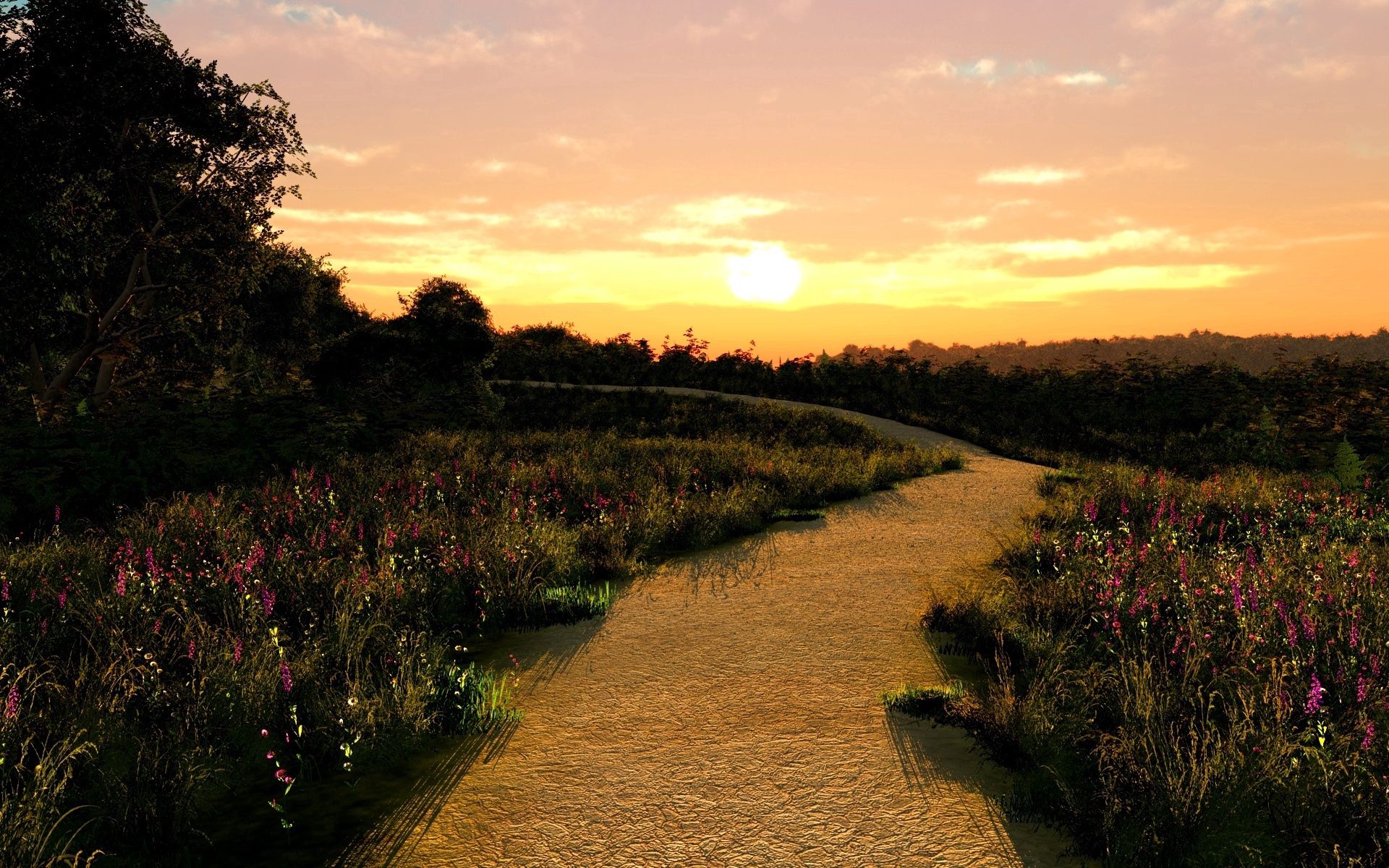 Free download wallpaper Road, Path, Trail, Front Garden, Flowers, Sunset, Nature on your PC desktop