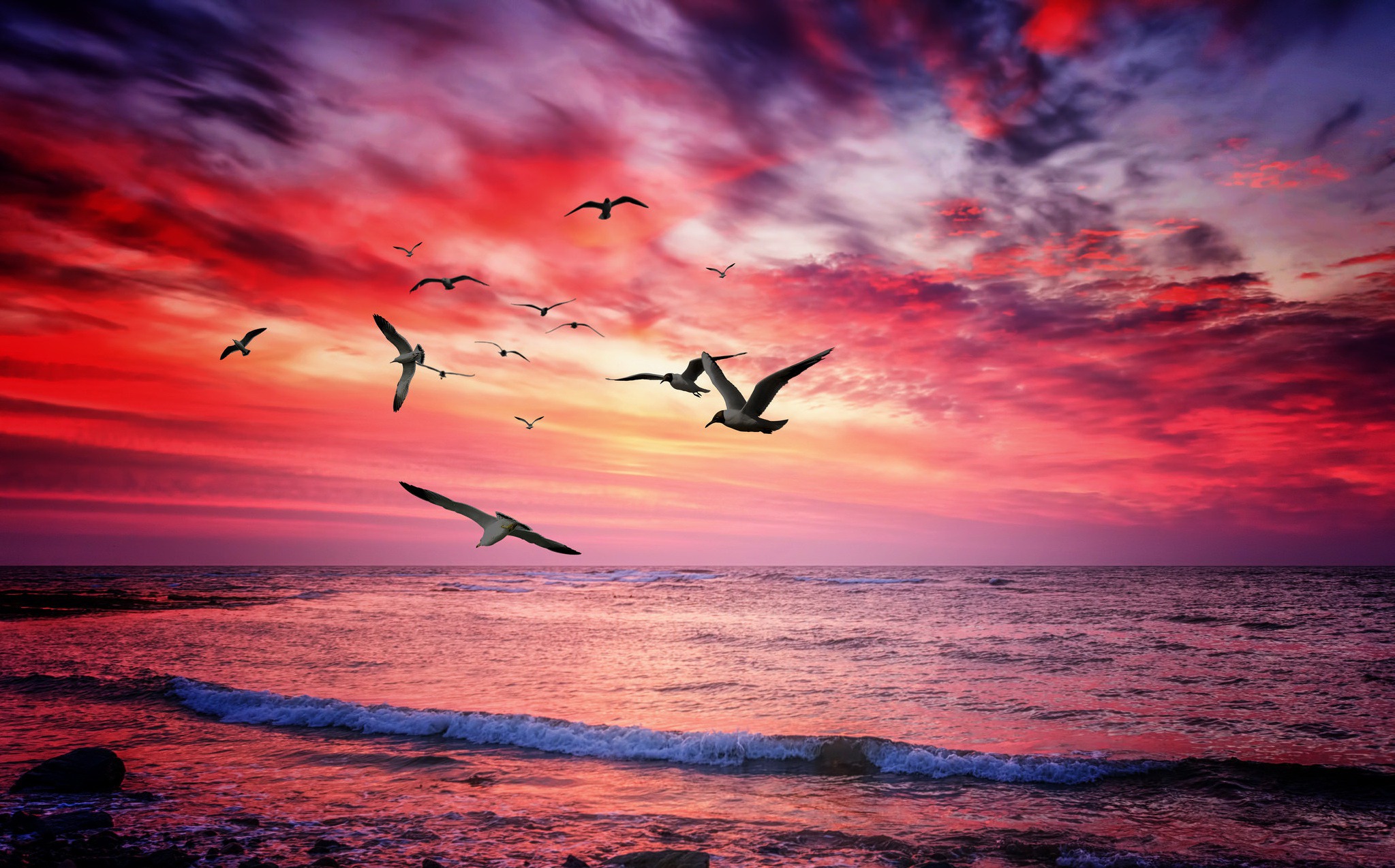 Download mobile wallpaper Nature, Birds, Sunset, Sky, Horizon, Bird, Ocean, Animal, Seagull for free.