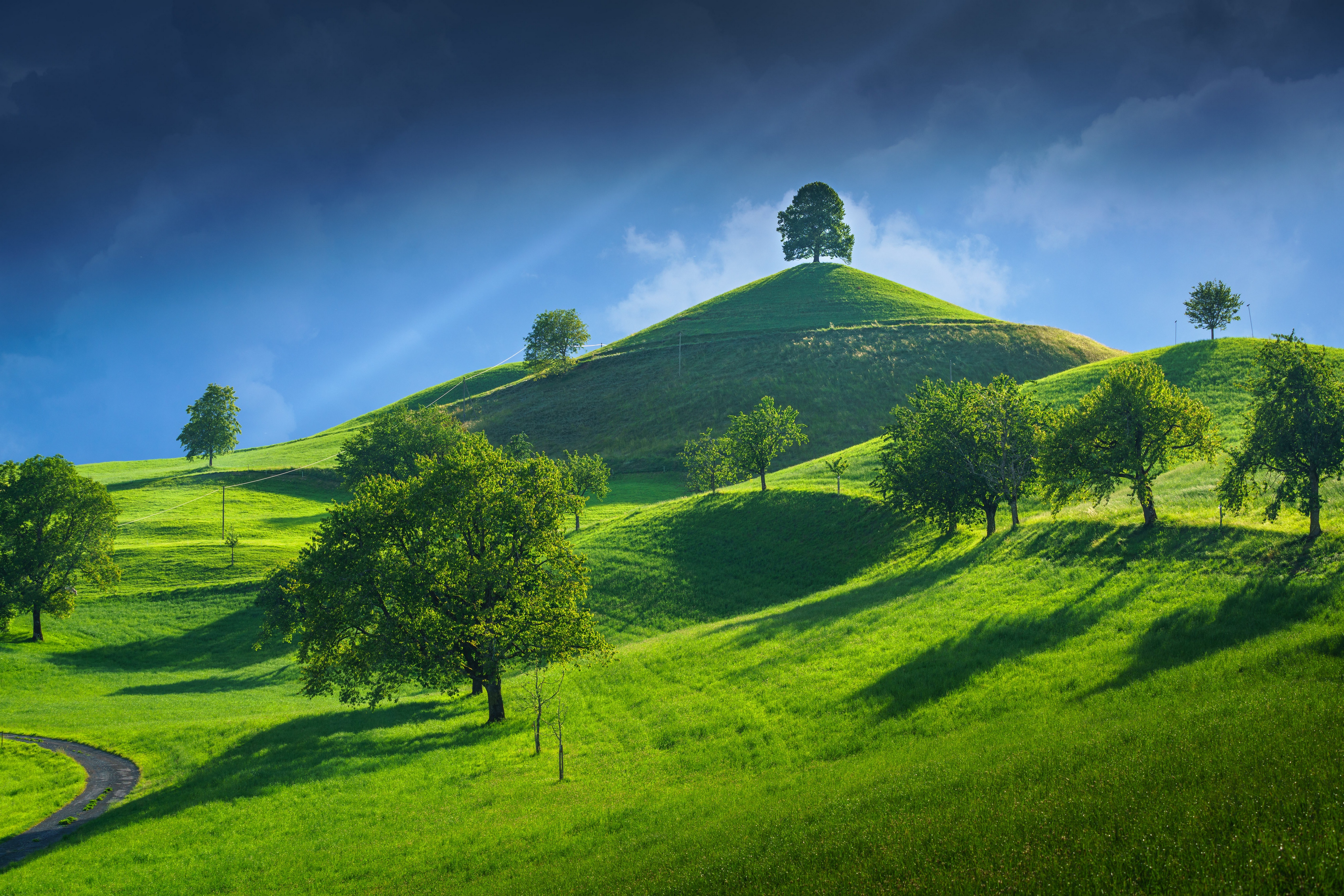 Download mobile wallpaper Landscape, Tree, Earth, Switzerland, Hill for free.