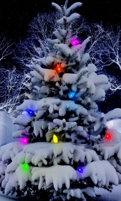 Download mobile wallpaper Christmas, Holiday for free.