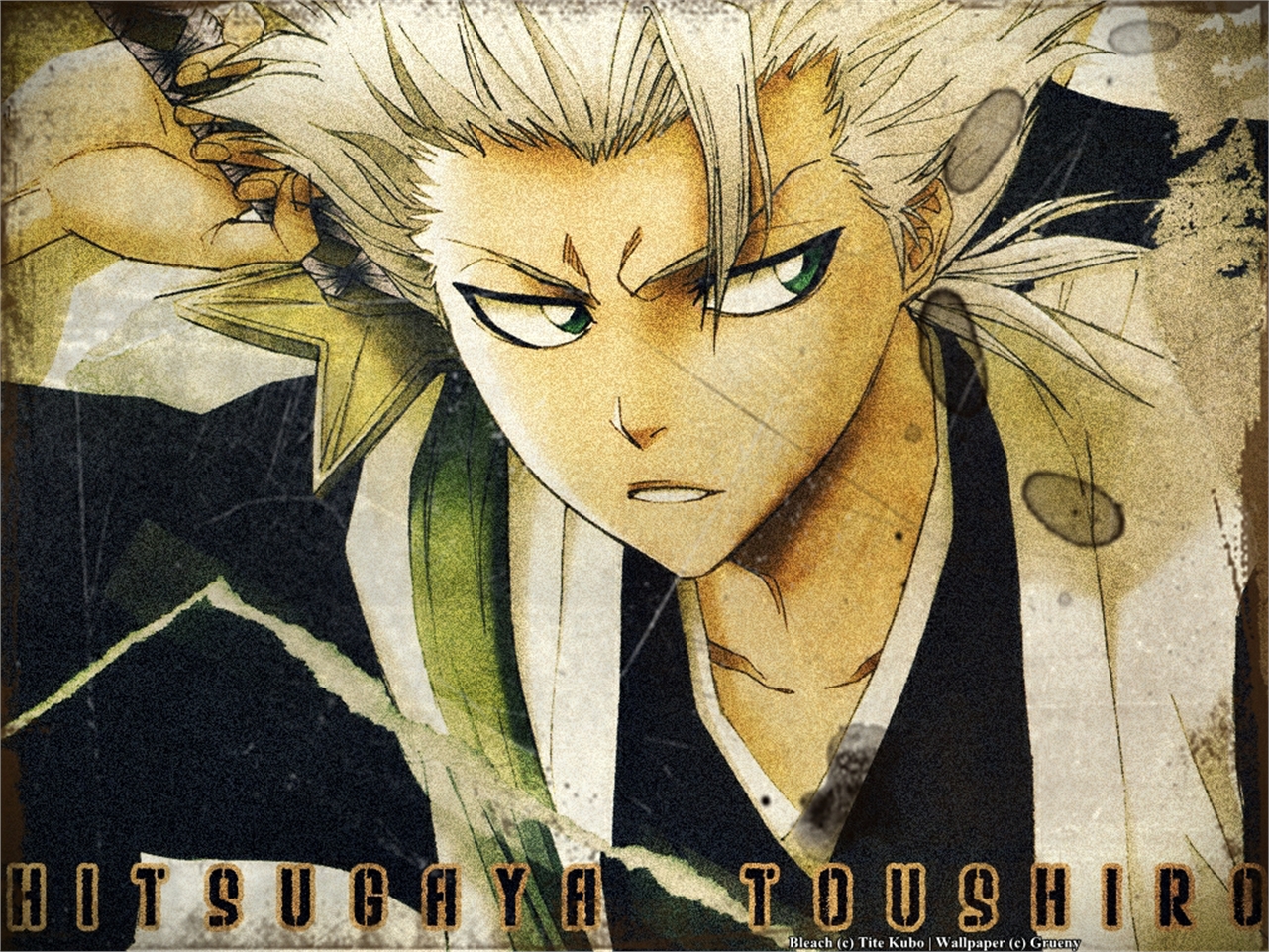 Download mobile wallpaper Anime, Bleach, Tōshirō Hitsugaya for free.