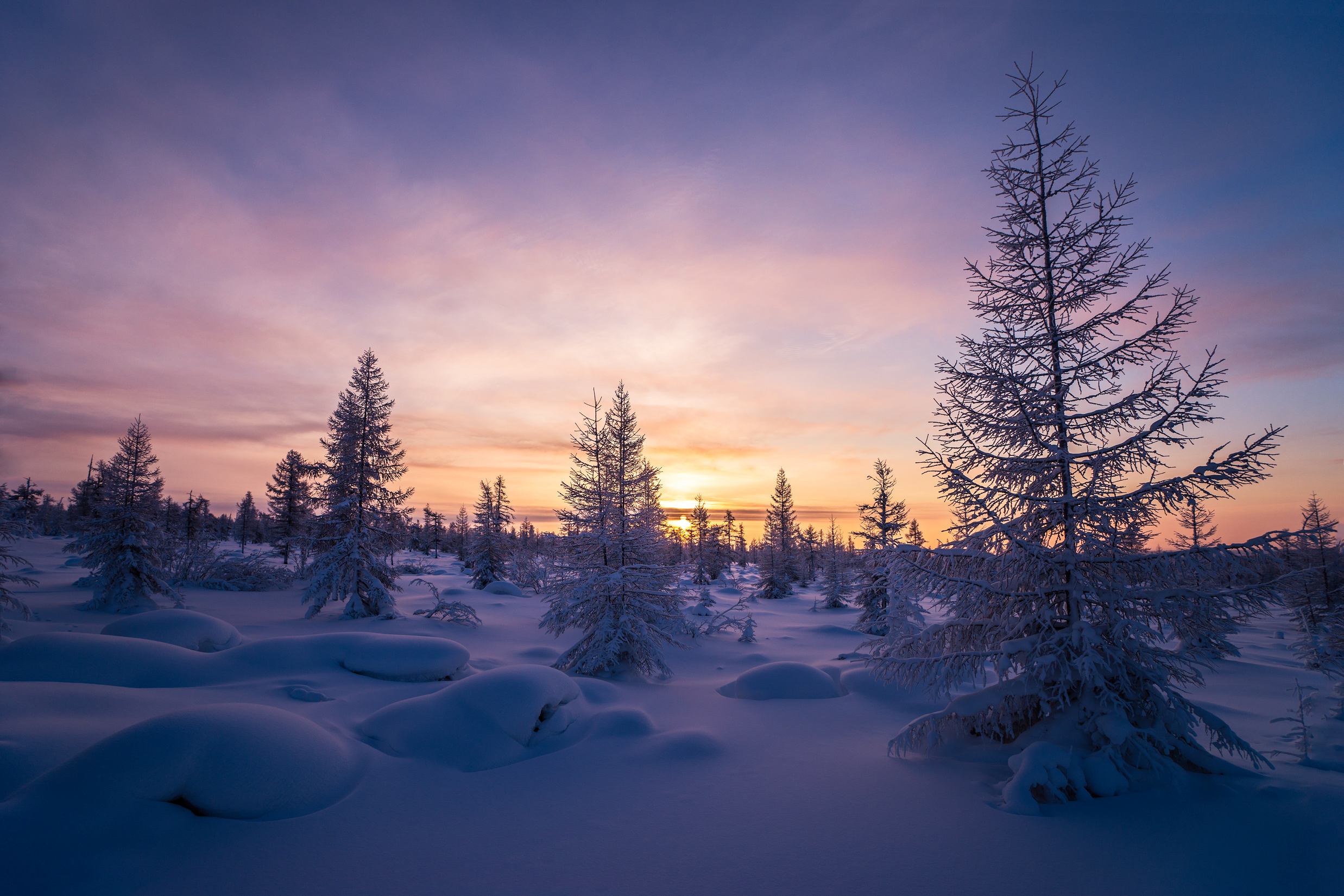 Download mobile wallpaper Winter, Nature, Sunset, Snow, Tree, Earth for free.