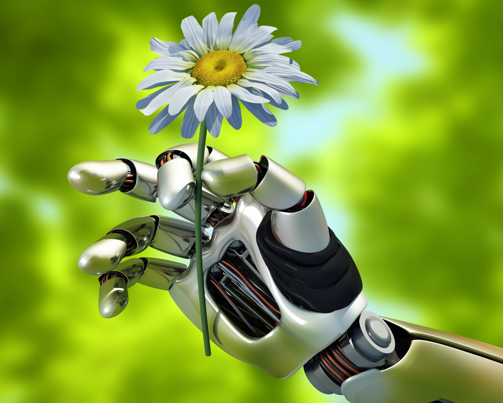 Descarga gratis la imagen Flor, Mano, Robot, Margarita, Hecho Por El Hombre en el escritorio de tu PC