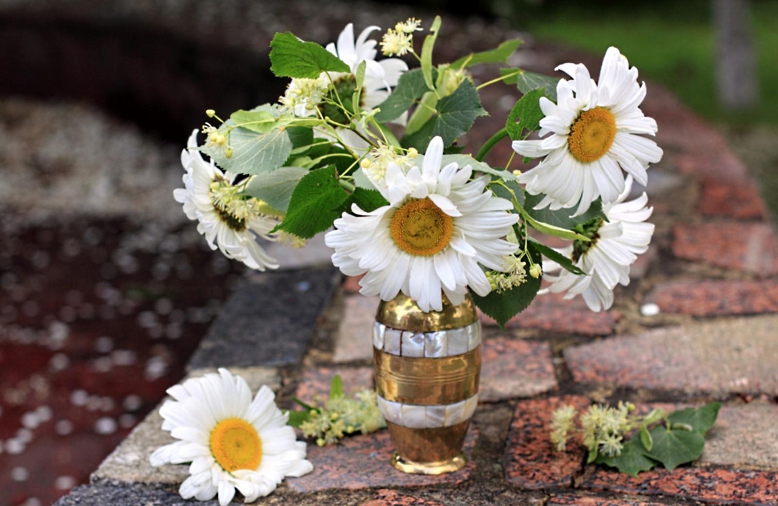Free download wallpaper Flowers, Bud, Bouquet, Vase, Camomile on your PC desktop