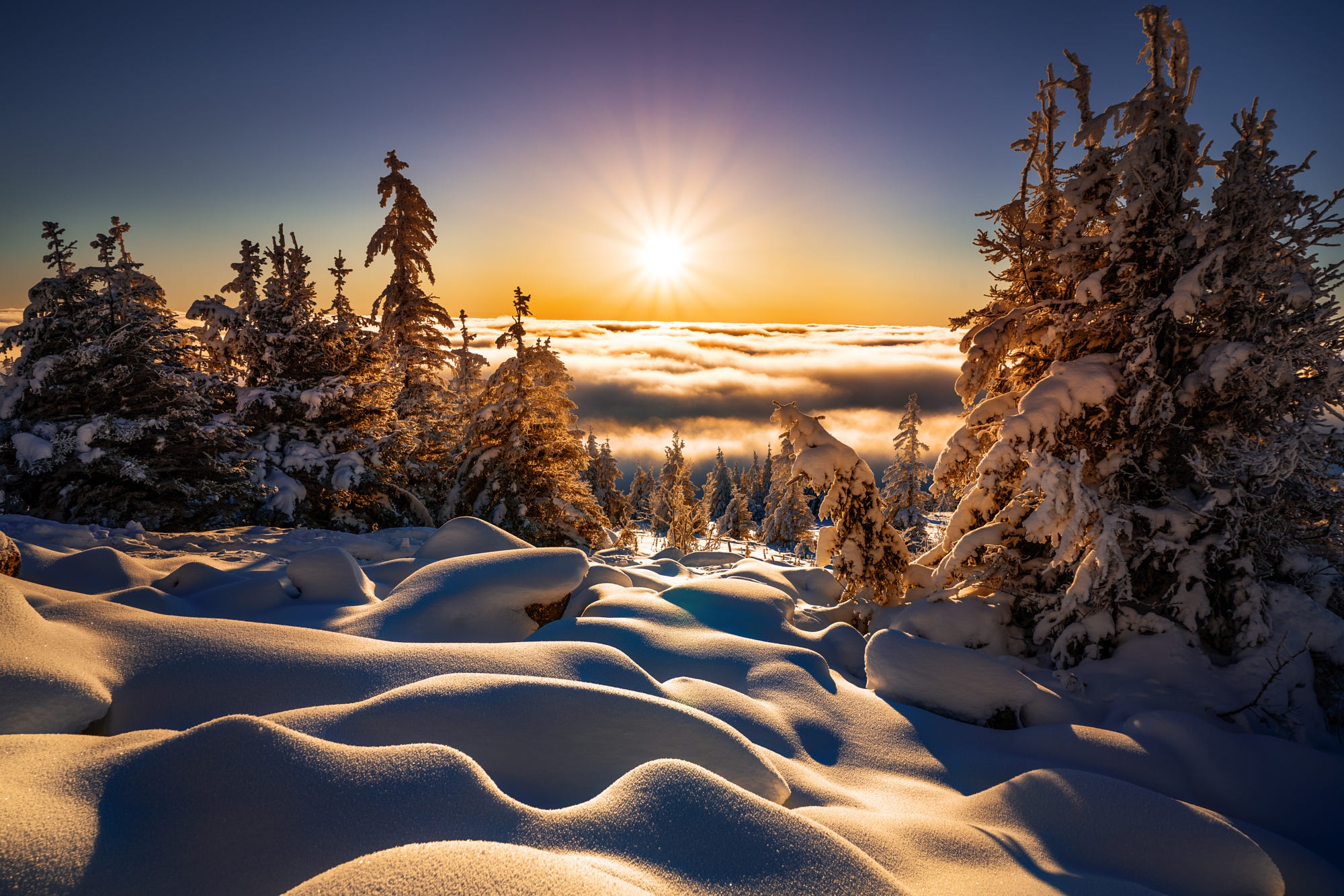 Laden Sie das Landschaft, Winter, Natur, Schnee, Horizont, Sonne, Sonnenstrahl, Erde/natur-Bild kostenlos auf Ihren PC-Desktop herunter