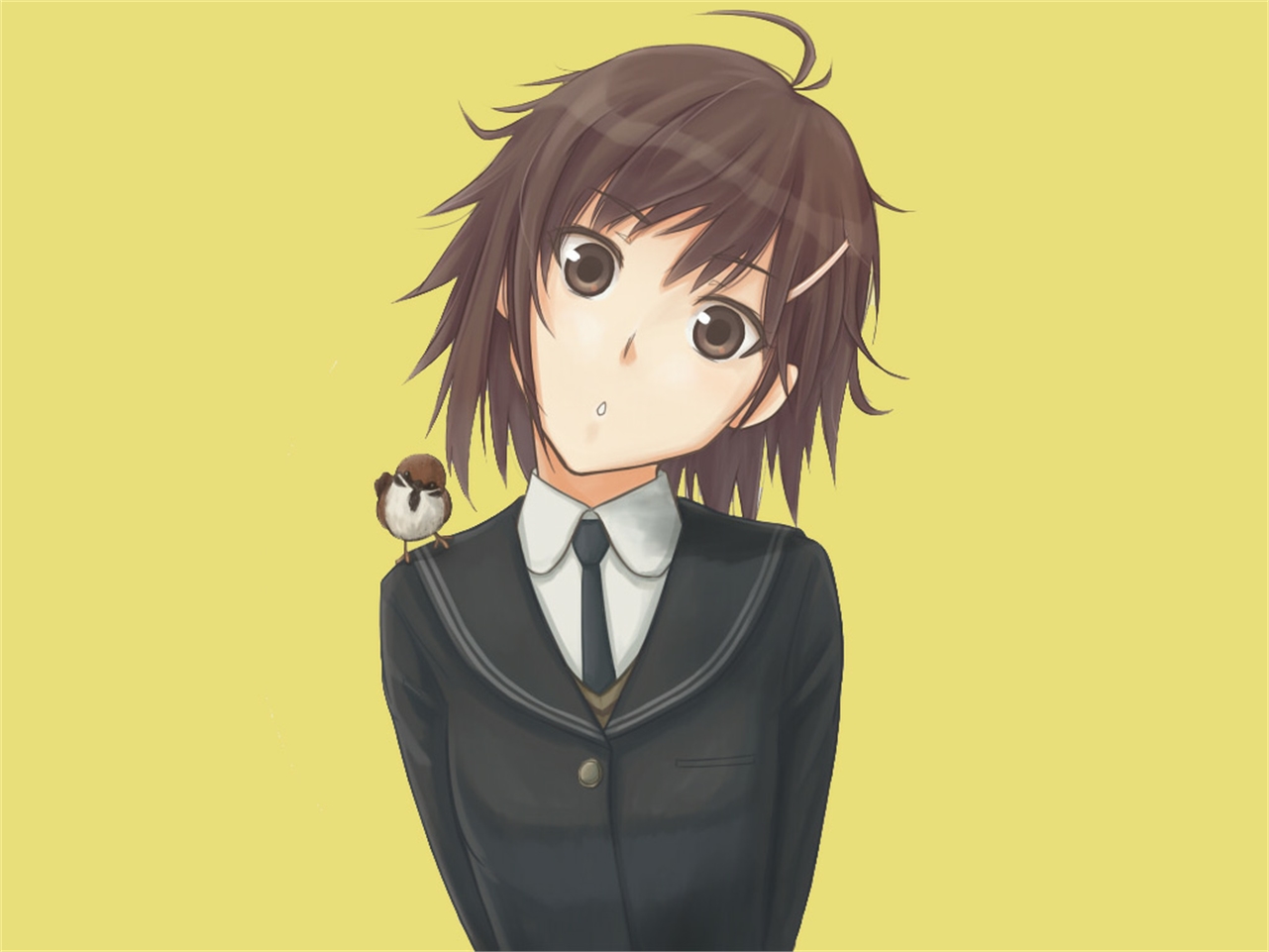 Baixe gratuitamente a imagem Anime, Amagami na área de trabalho do seu PC
