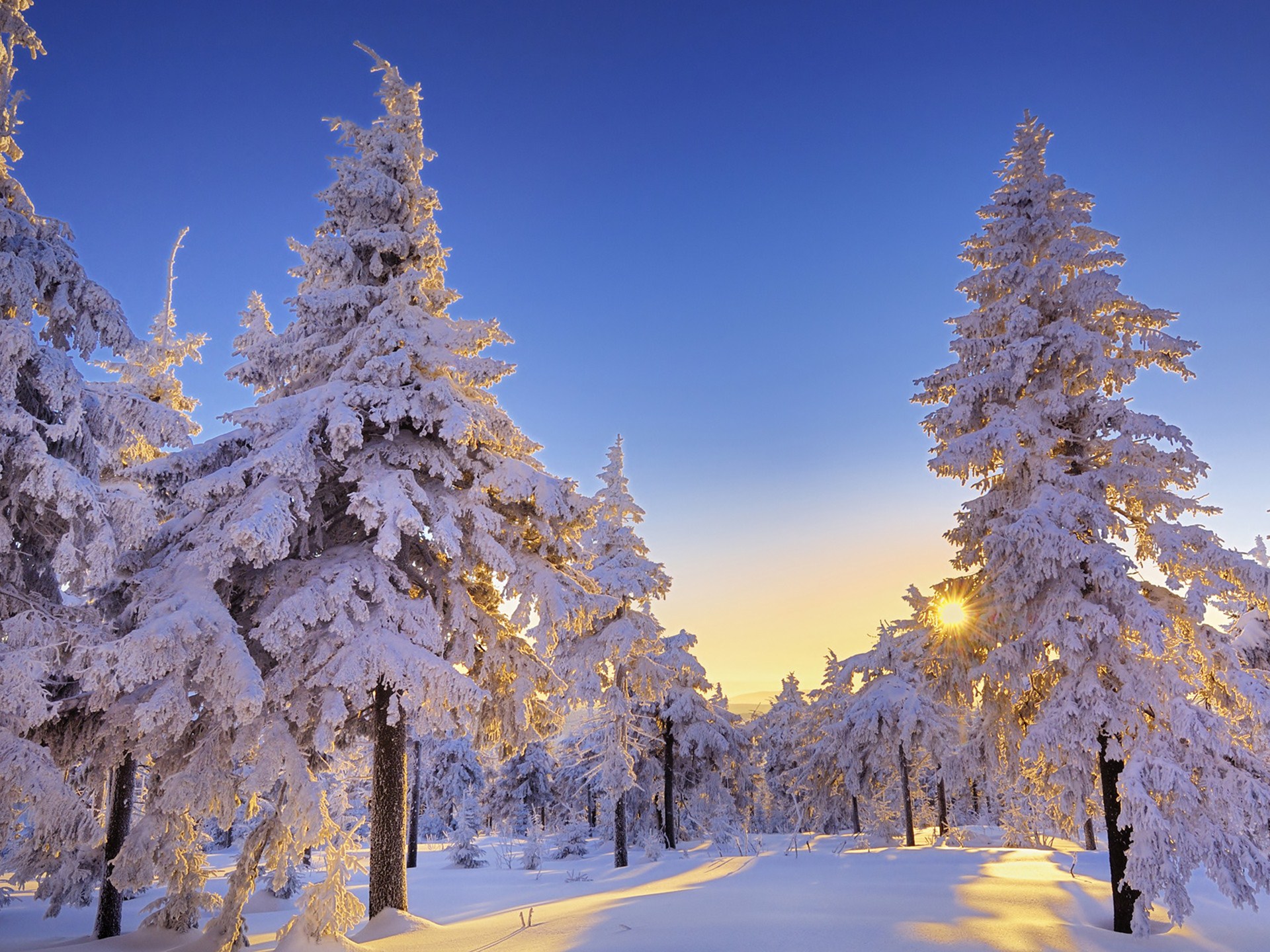 Descarga gratis la imagen Invierno, Tierra/naturaleza en el escritorio de tu PC