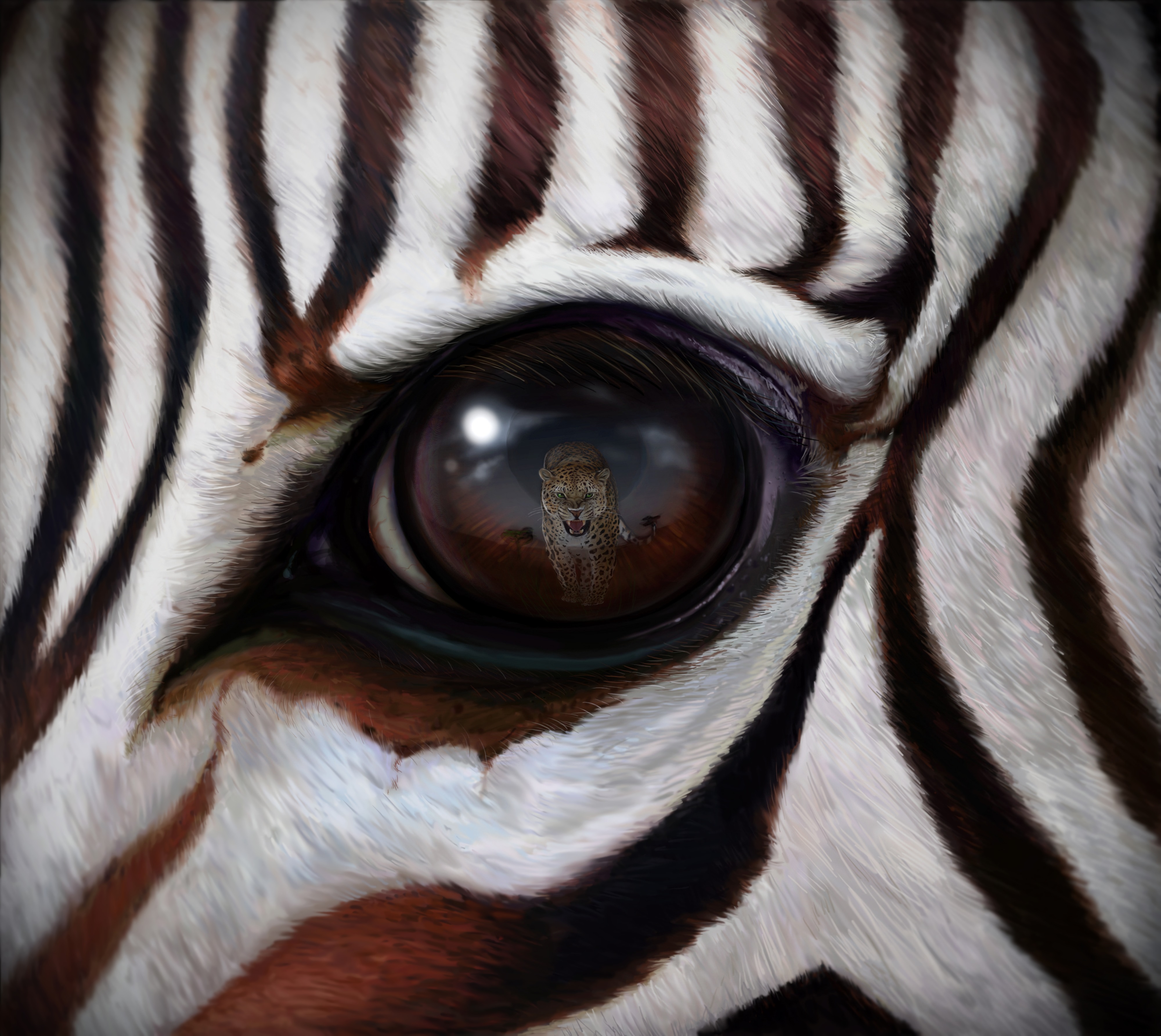 148829 скачать картинку отражение, арт, зебры, леопард, хищник, глаз - обои и заставки бесплатно
