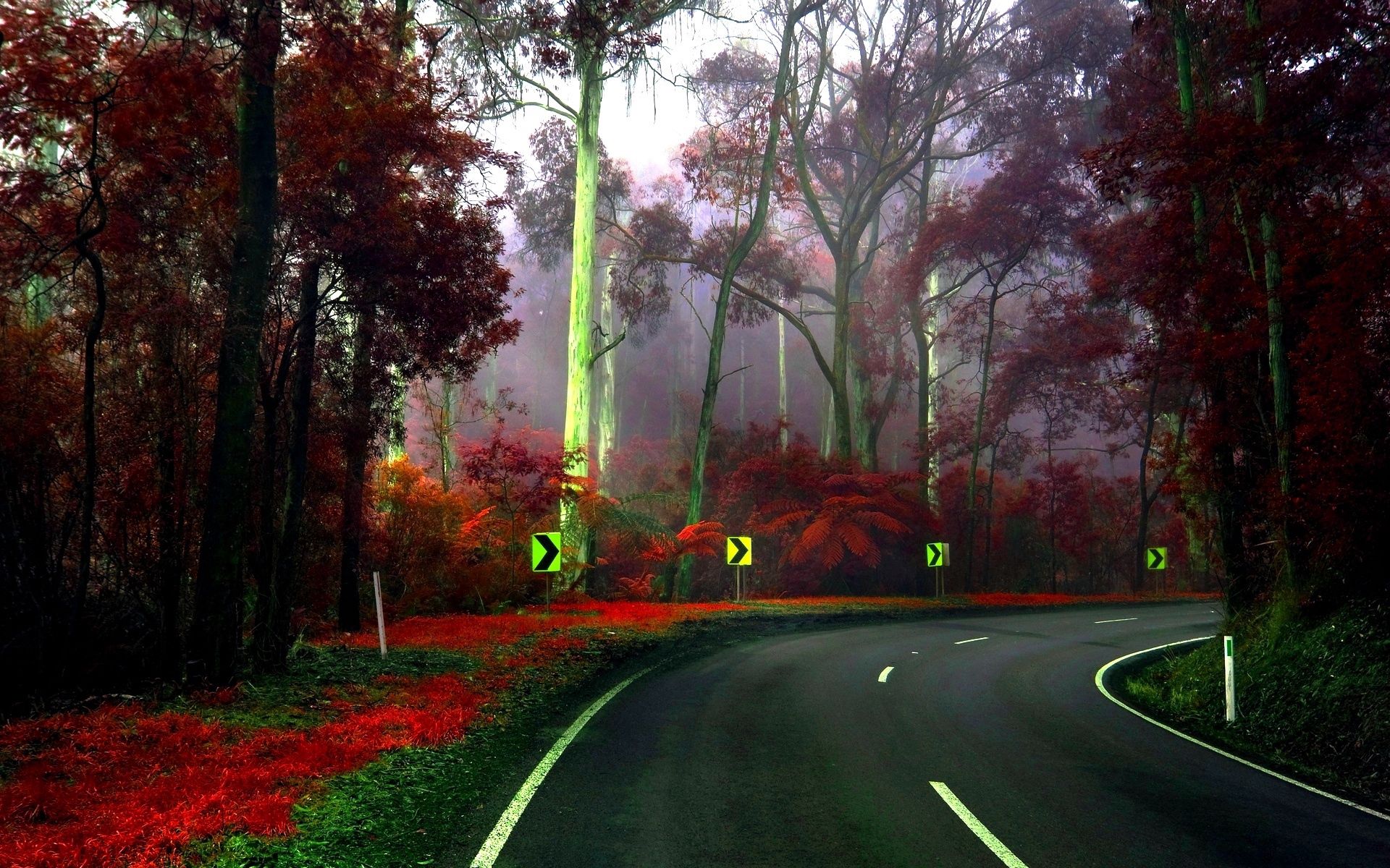 148572 télécharger le fond d'écran nature, arbres, signes, route, tour, tourner, arboretum - économiseurs d'écran et images gratuitement