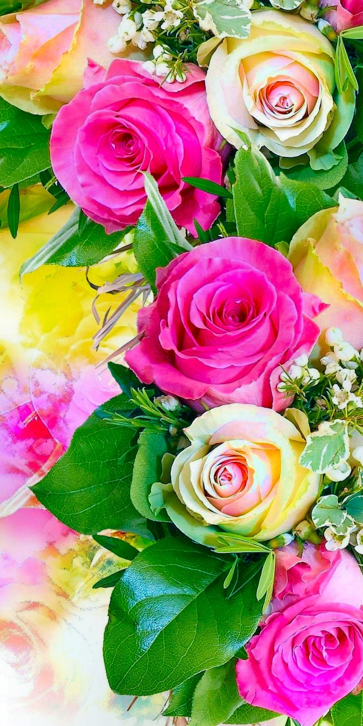 Download mobile wallpaper Flowers, Flower, Rose, Bouquet, Earth, White Rose, Pink Rose for free.