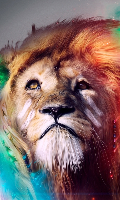 Download mobile wallpaper Cats, Lion, Animal, Colorful for free.