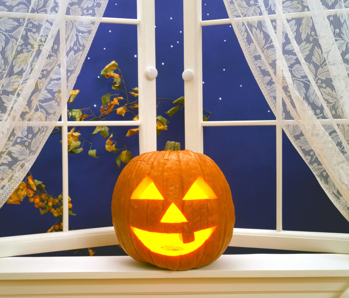 Download mobile wallpaper Halloween, Pumpkin, Holiday, Window, Jack O' Lantern for free.