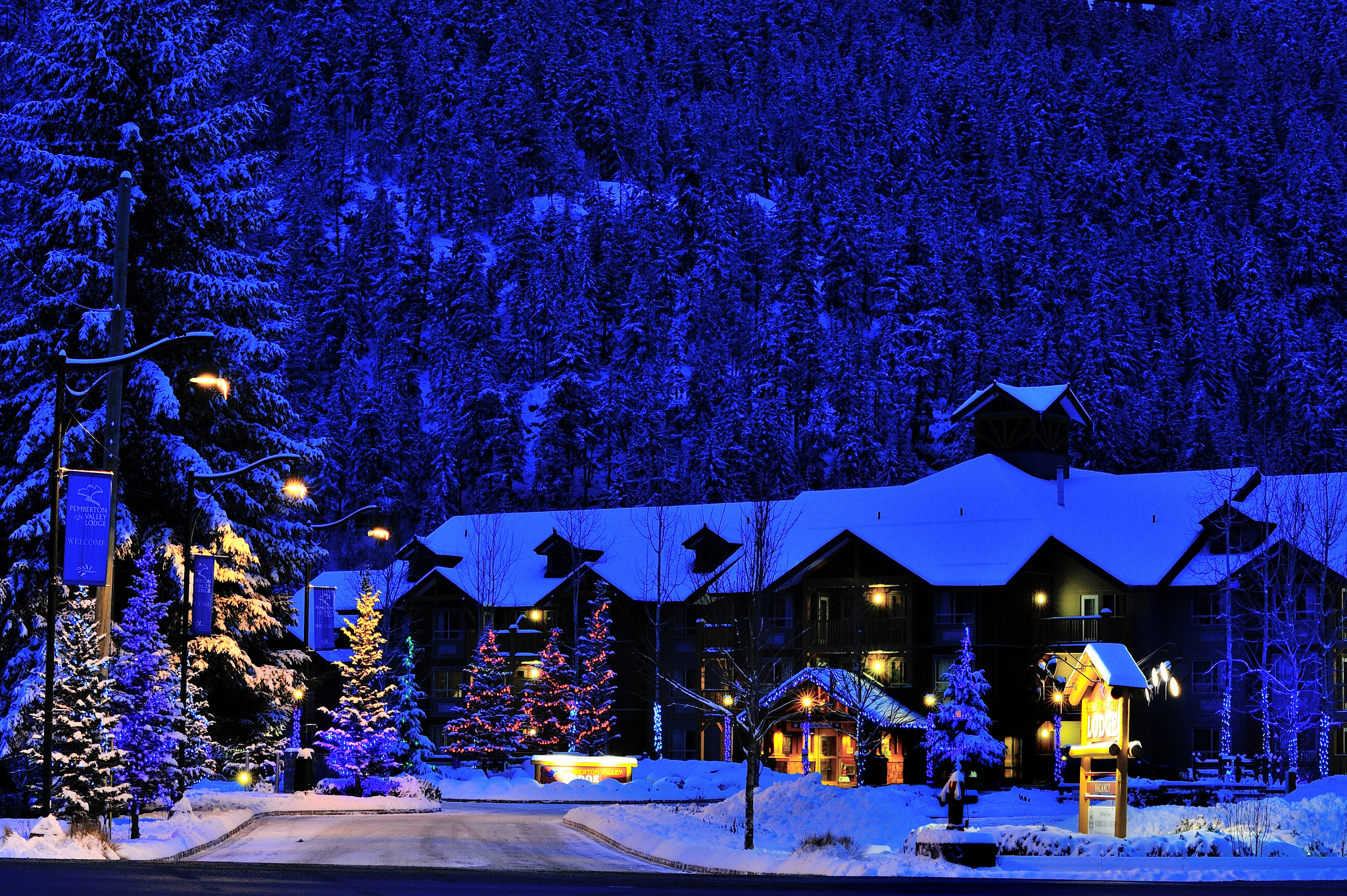 Download mobile wallpaper Night, Canada, Light, Christmas Tree, Hotel, Man Made for free.