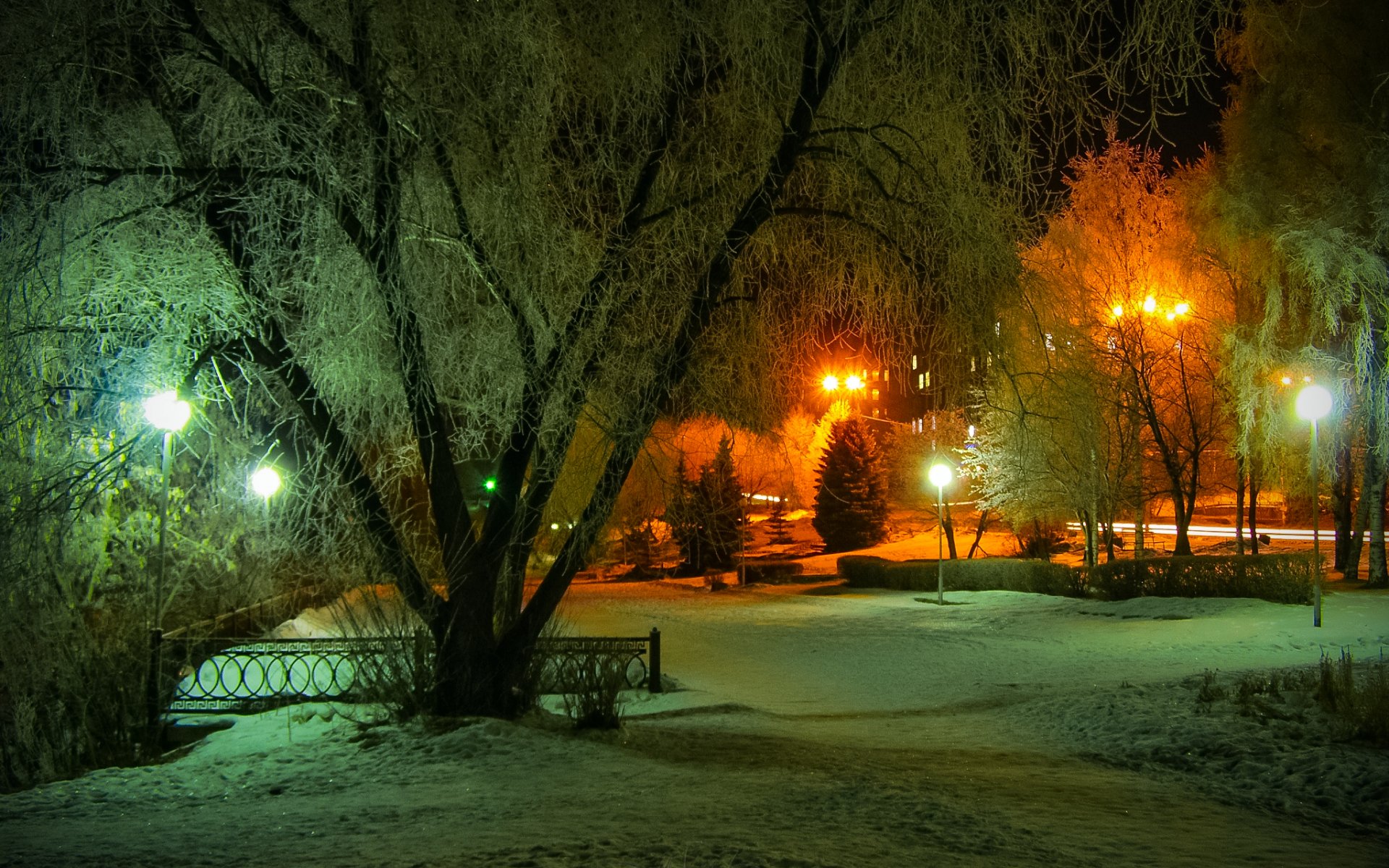 Скачать картинку Зима, Ночь, Снег, Парк, Дерево, Фотографии, Легкий, Уличный Фонарь в телефон бесплатно.