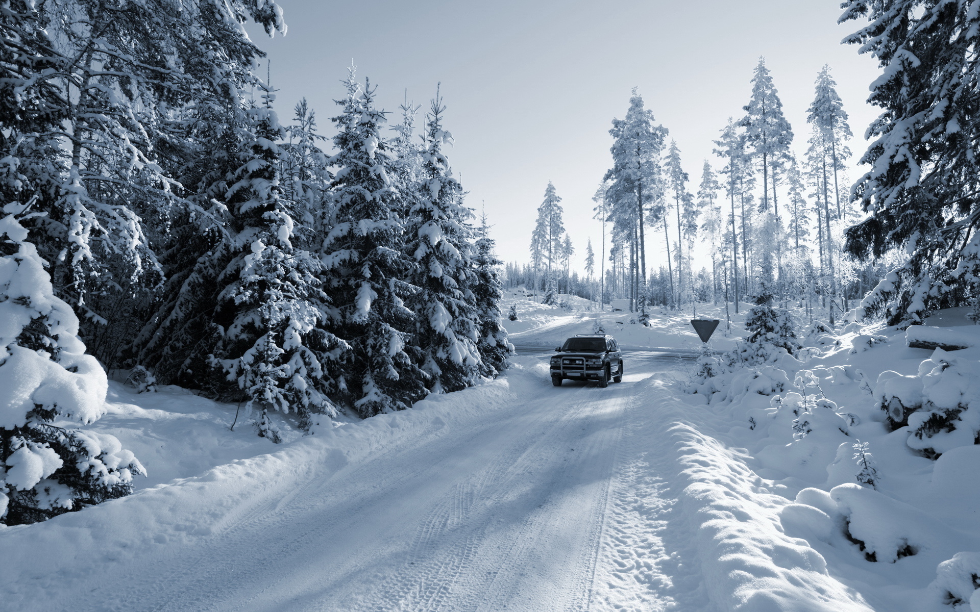 Baixe gratuitamente a imagem Inverno, Fotografia na área de trabalho do seu PC