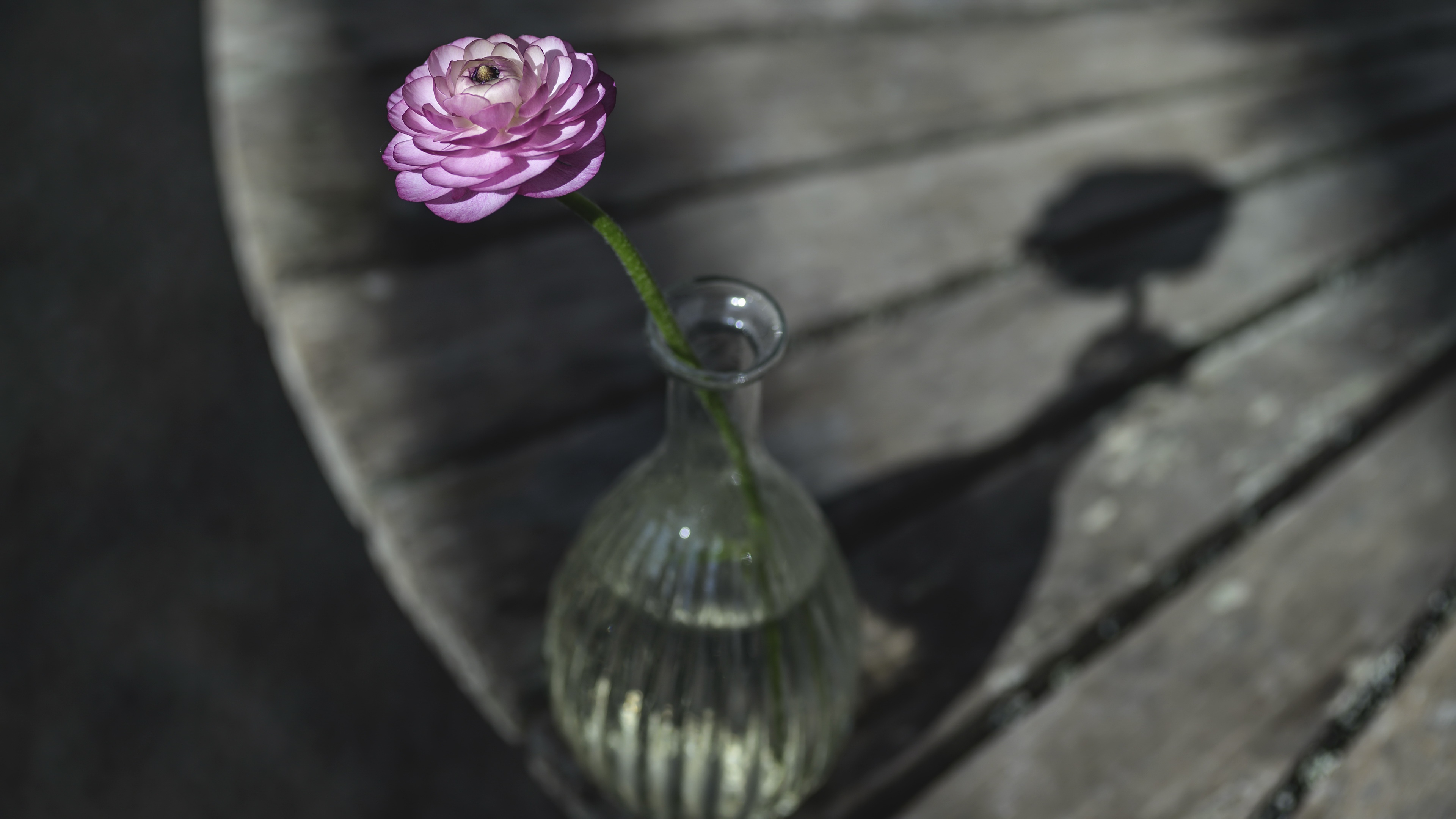 1000780 скачать картинку ваза, сделано человеком, цветок, лютик - обои и заставки бесплатно