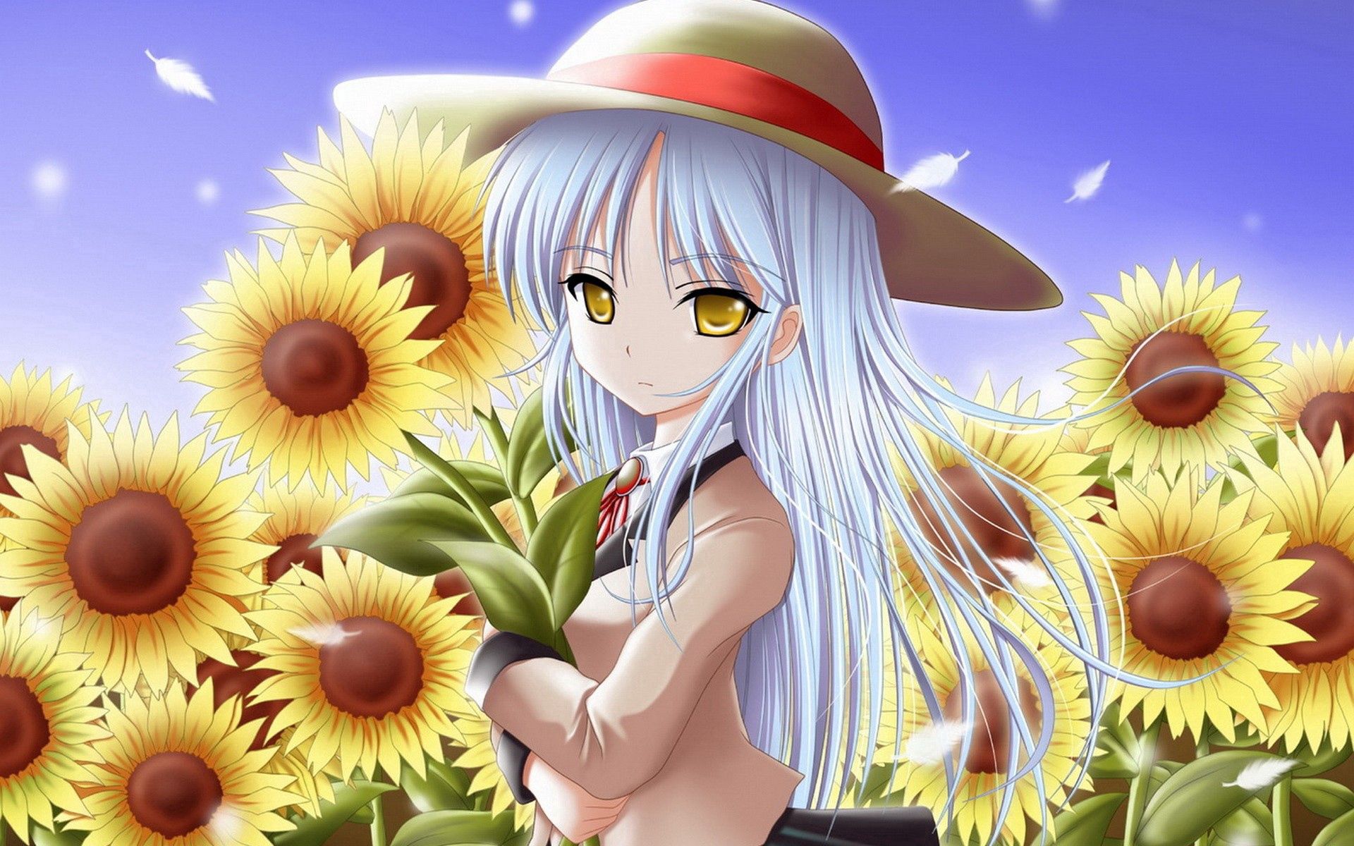 stroll, girl, anime, sunflowers, field HD wallpaper
