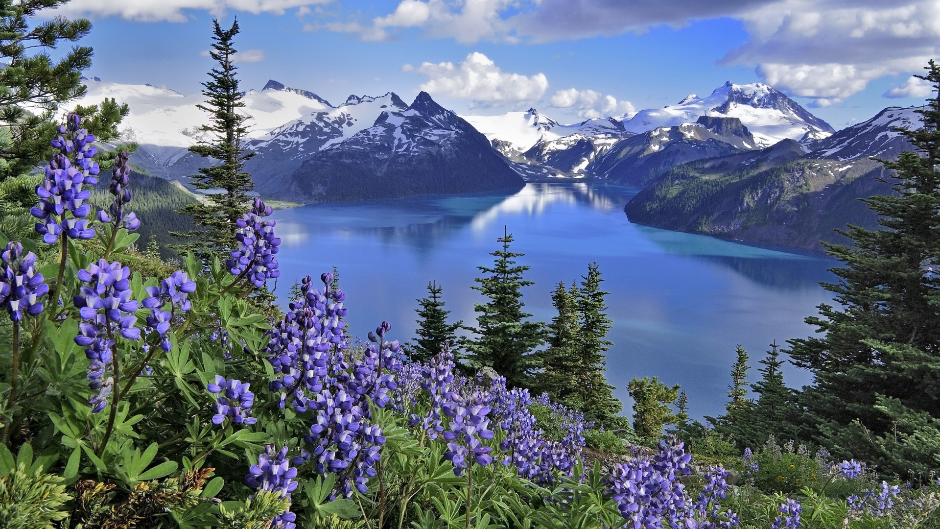 Free download wallpaper Landscape, Sky, Lakes, City, Mountain, Lake, Flower, Earth, Cloud on your PC desktop